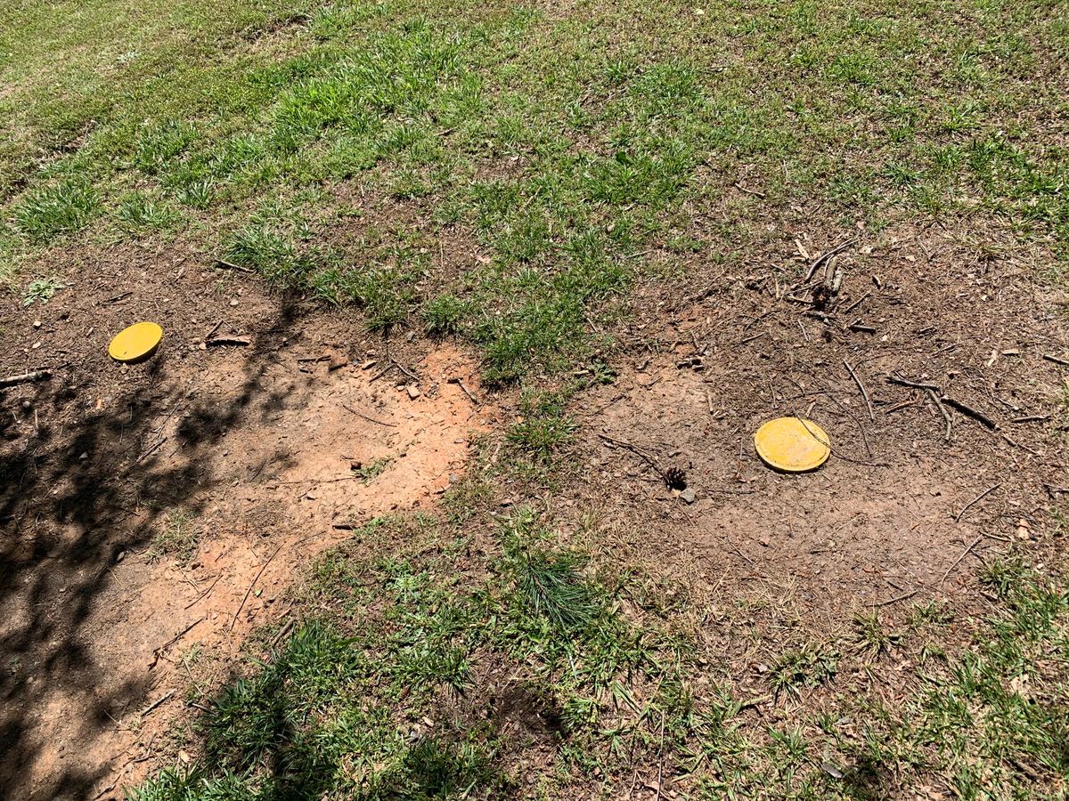 Tees marks with these yellow markers