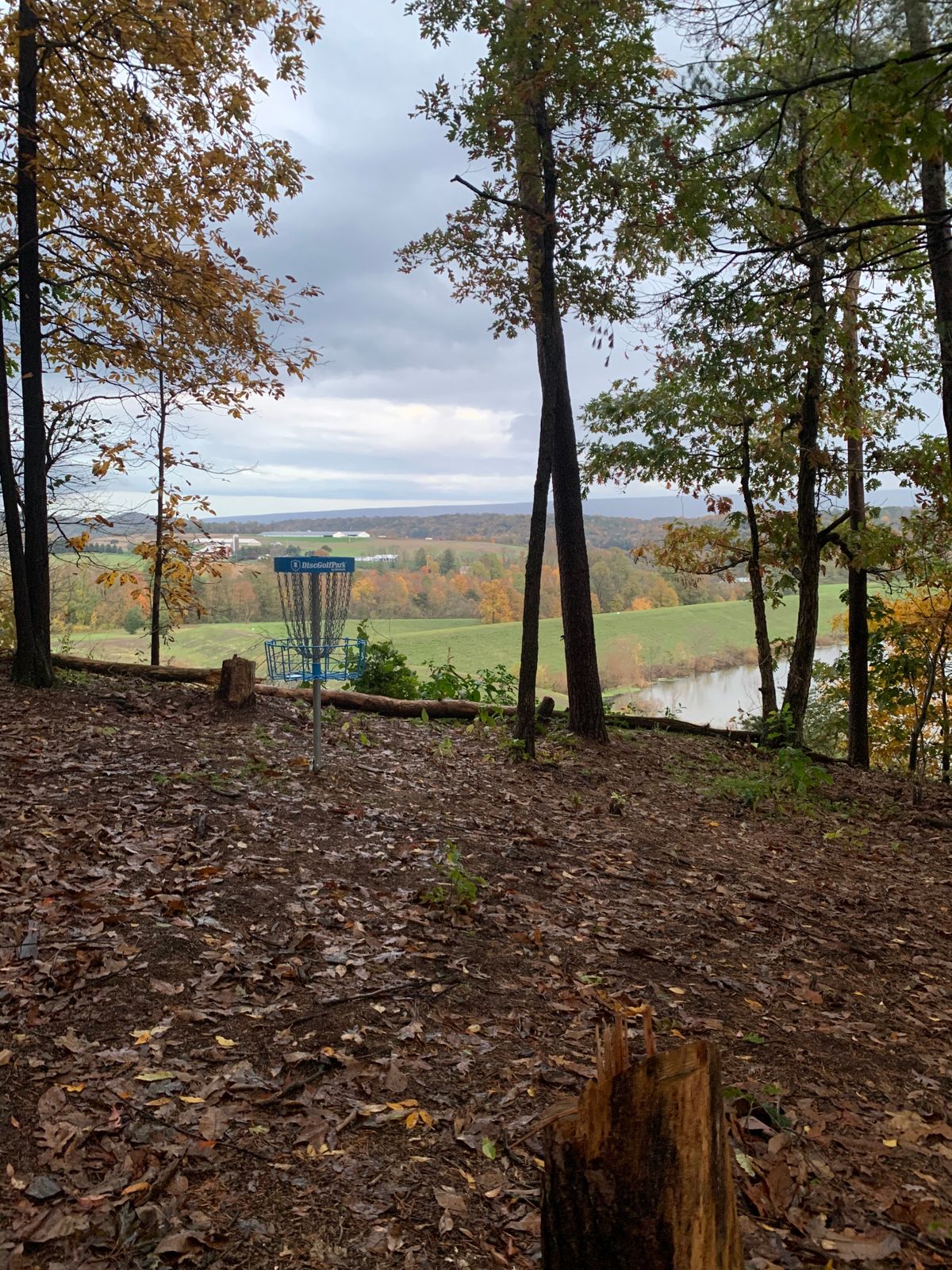 Hole 12 Basket