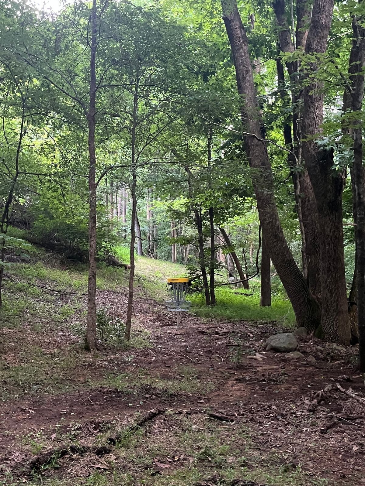 Basket and green on Hole 4