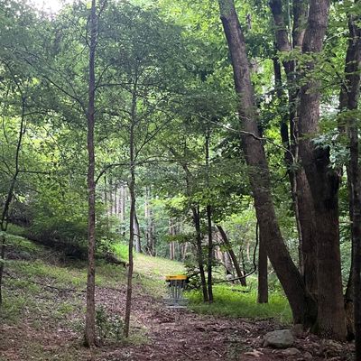 Basket and green on Hole 4