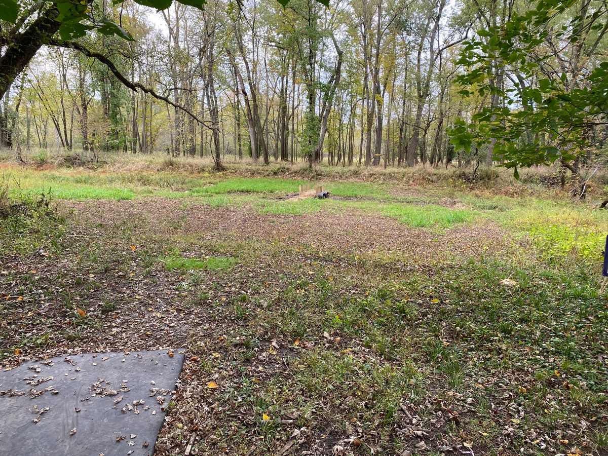 Tee towards basket on #12
