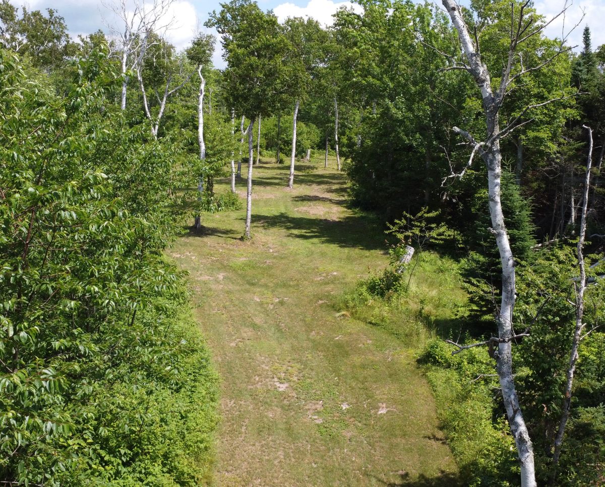 Hole 10 - fairway from blue tee.