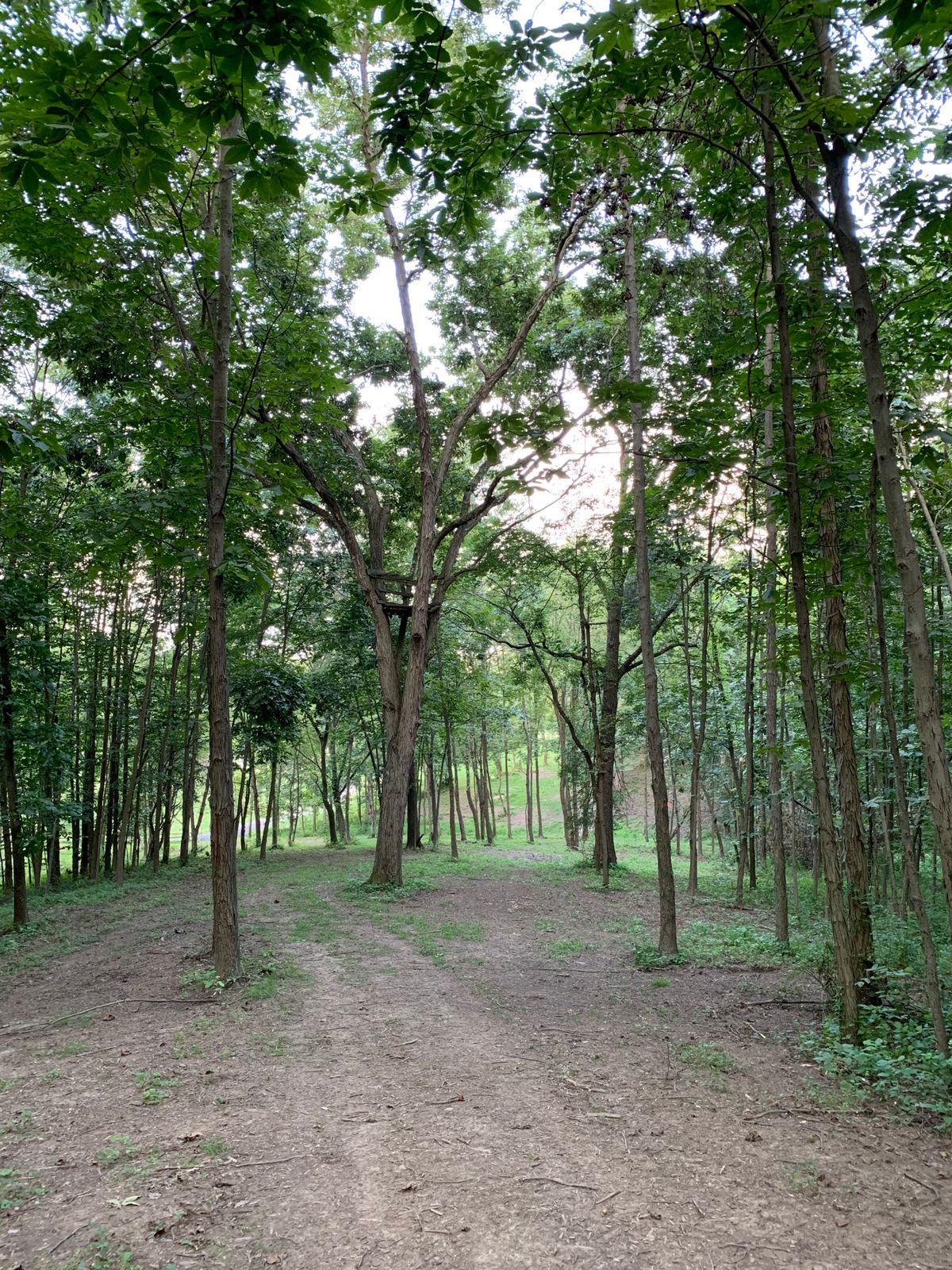 Hole 18 long approach shot