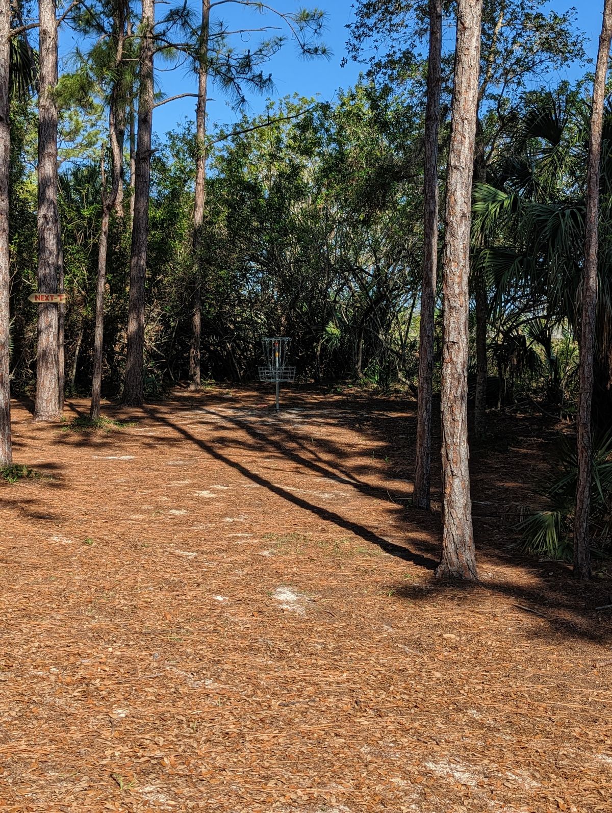 Hole 6 Basket