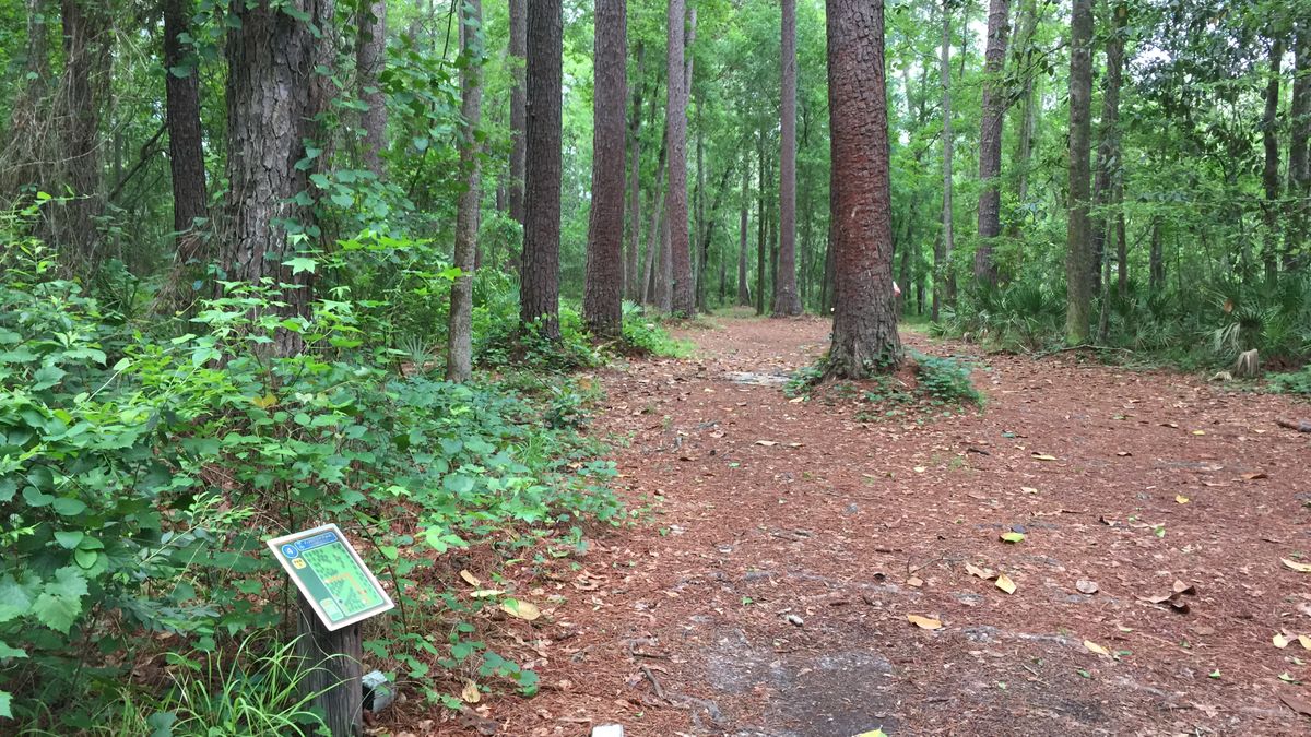 Hole 4