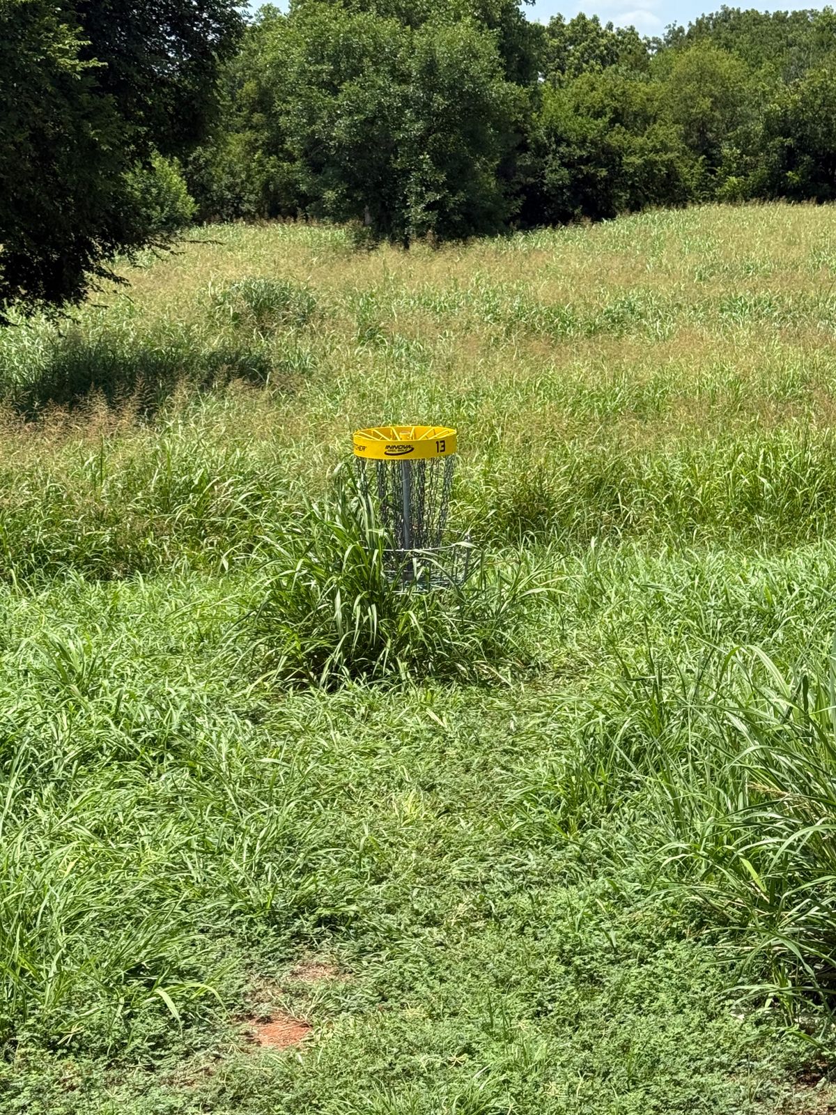 Hole 13 cornstalks