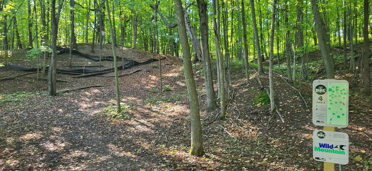 Hole 4