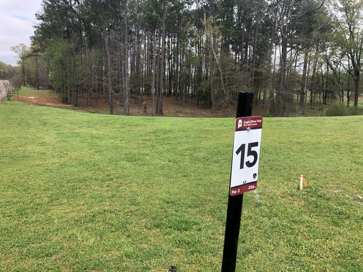 Hole 15