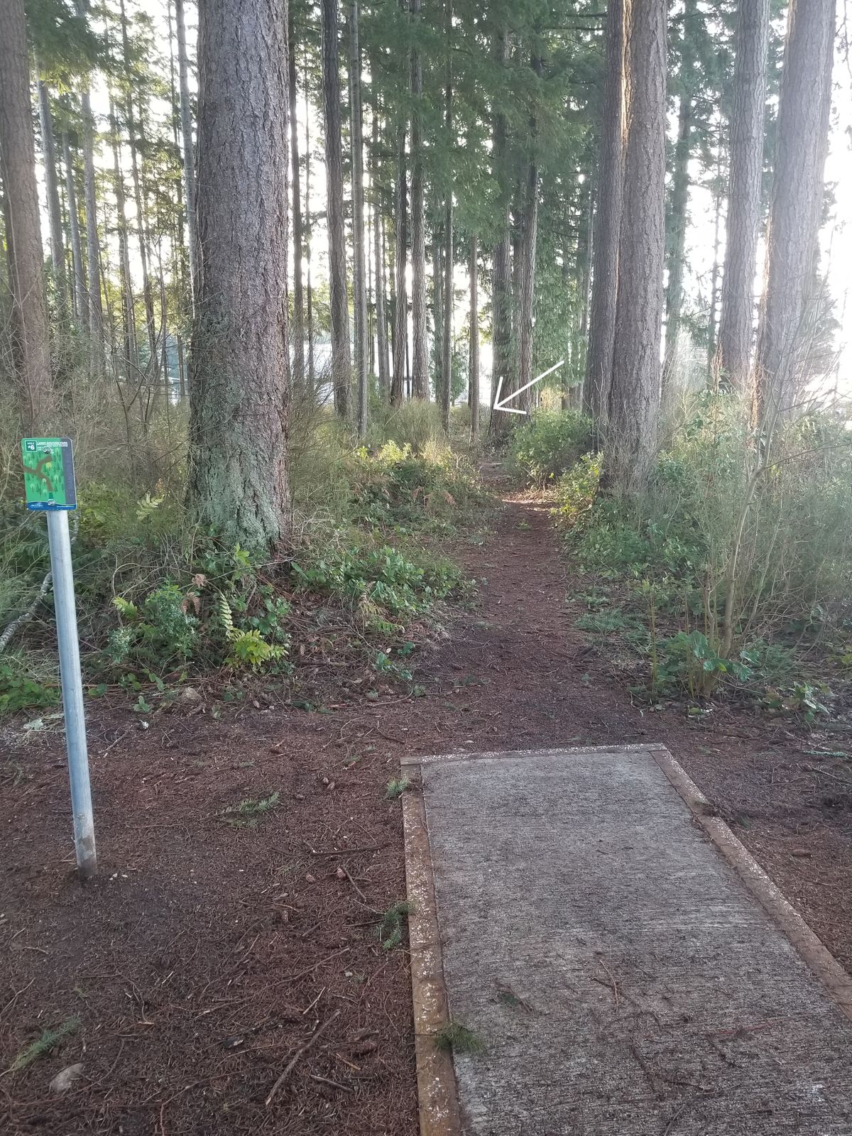 Hole 6