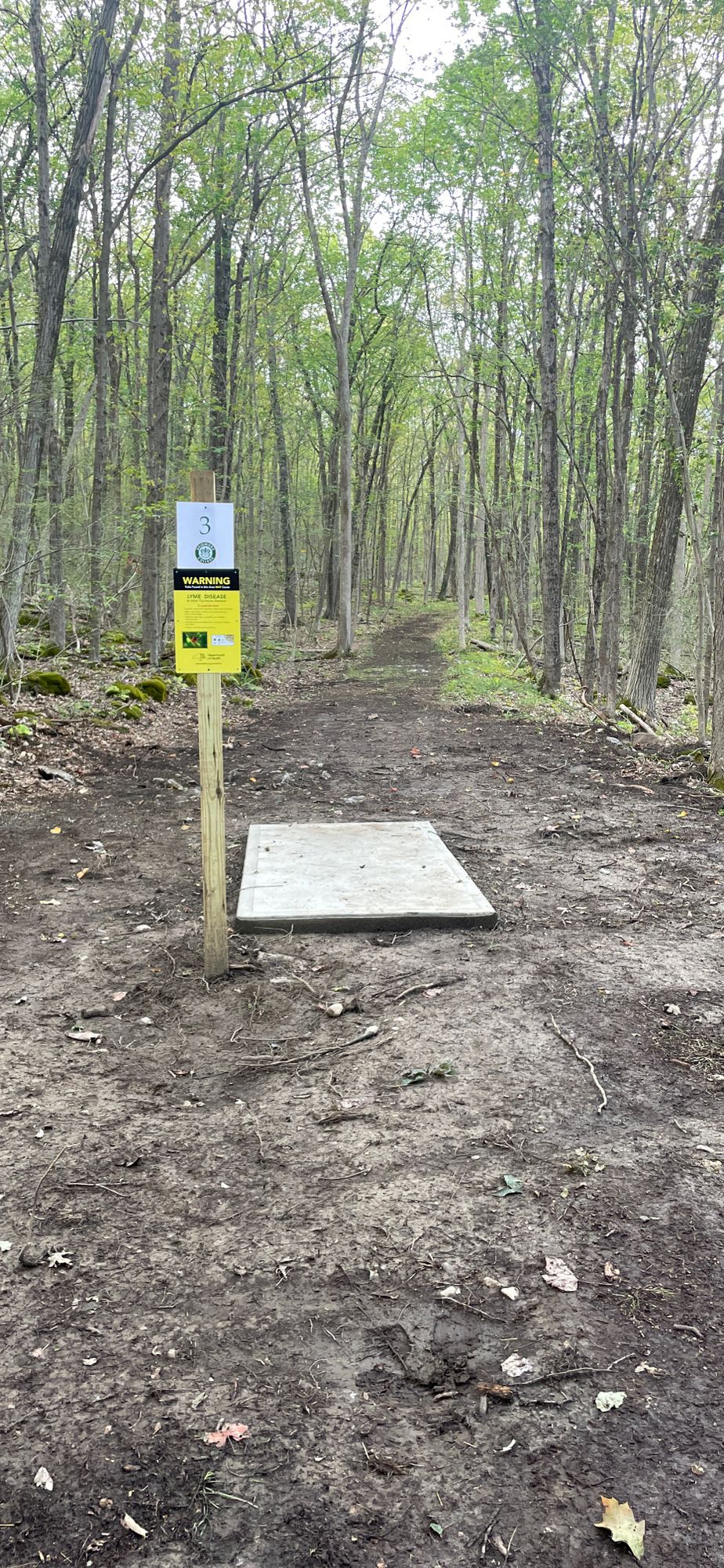 Hole 3 Tee