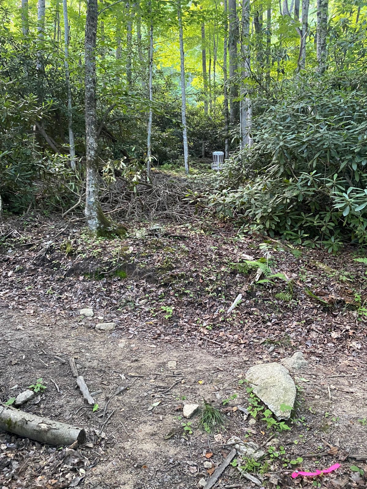 Tee 6