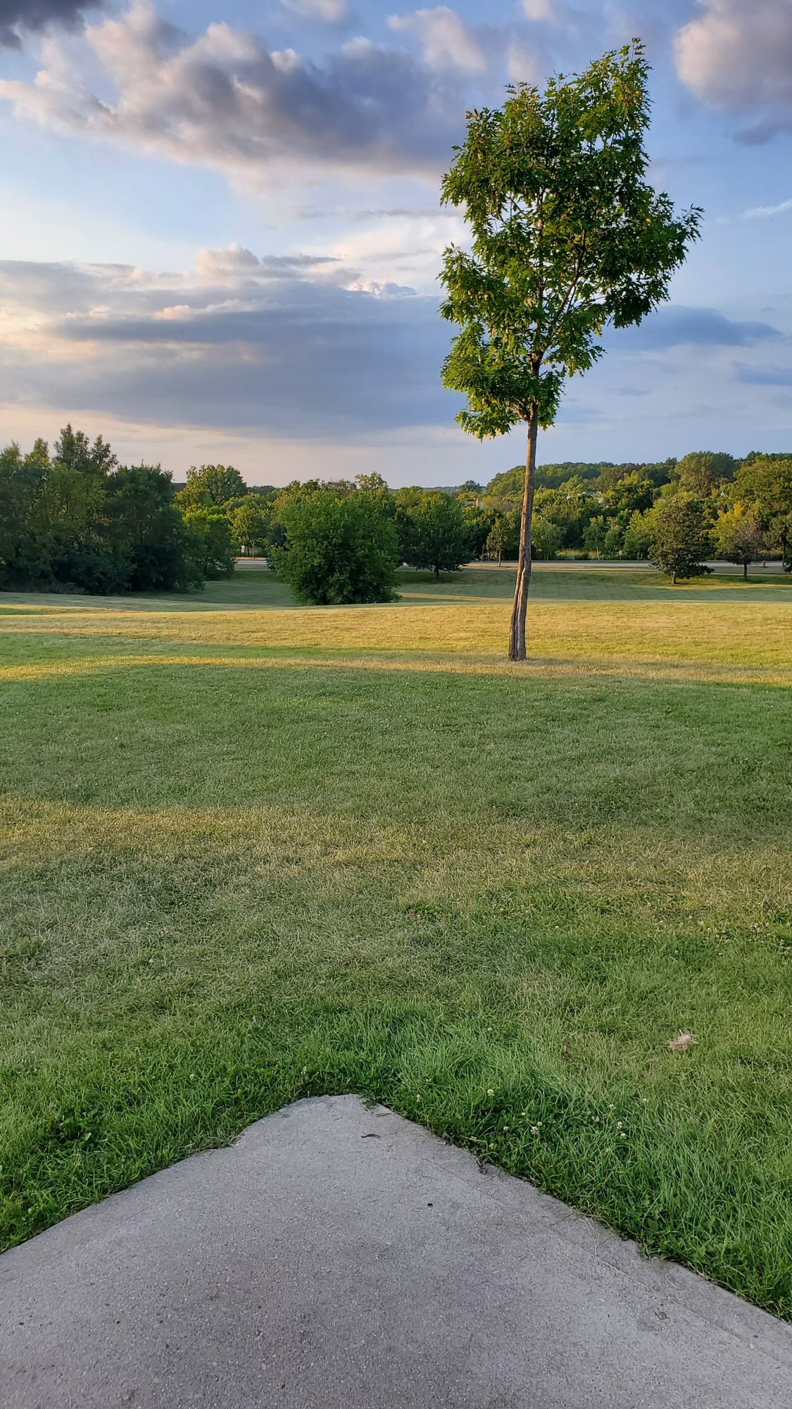 Alt 5 tee. 
Basket is behind the tree/bush at the bottom of the hill that the concrete points at.