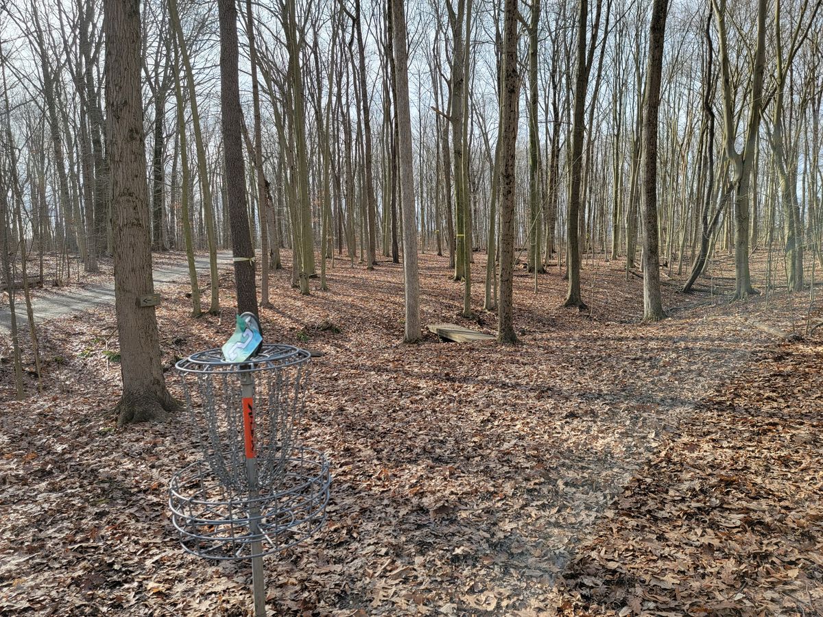 2's green looking back up the fairway
