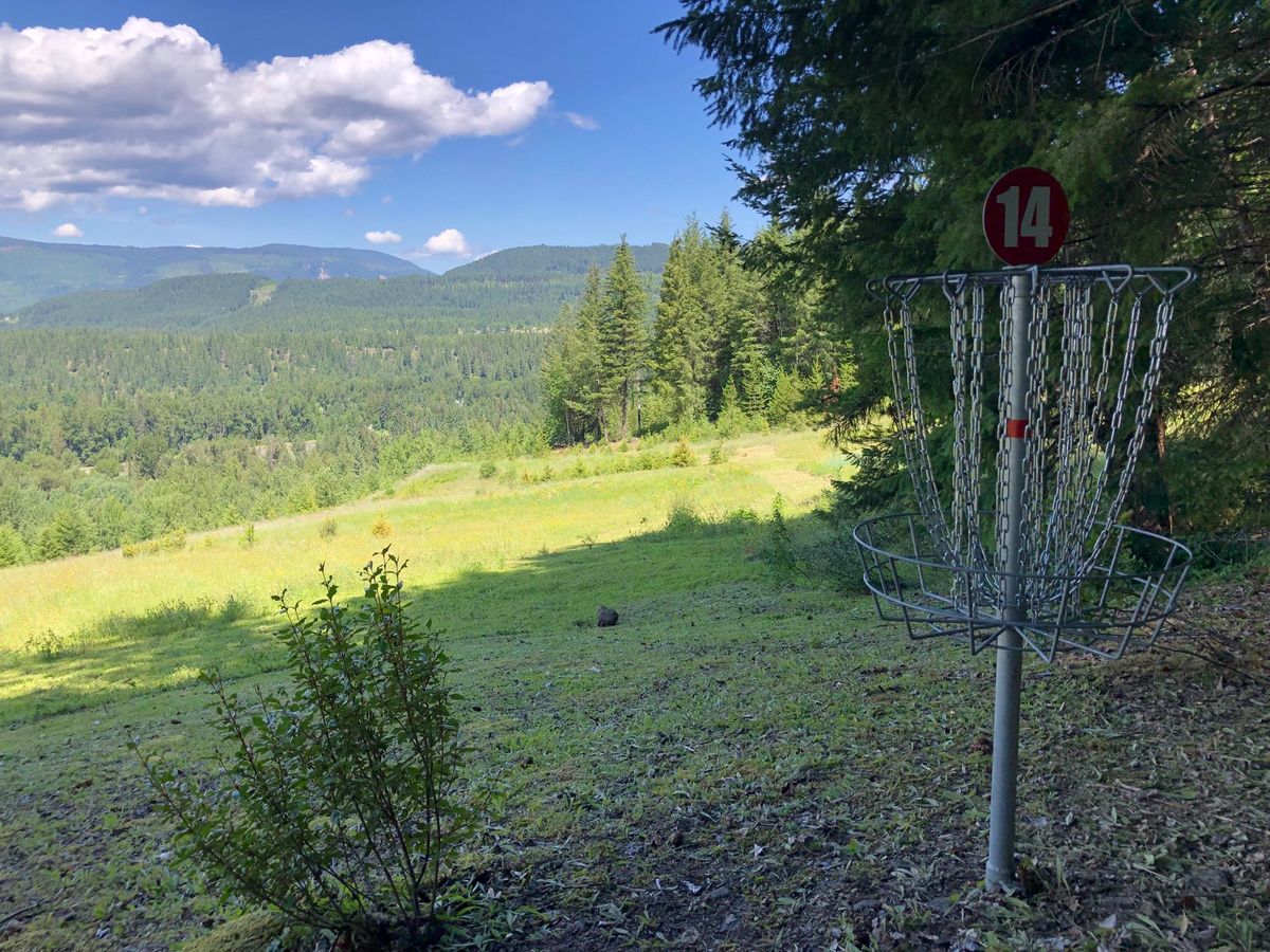 14 looking back to tee
