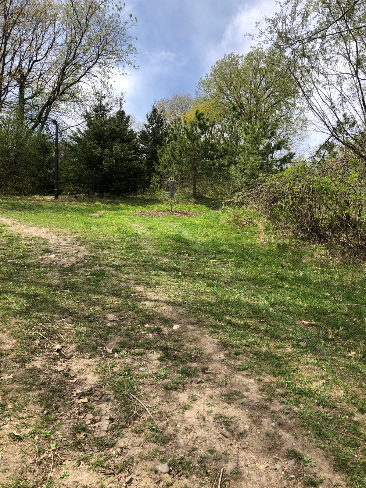Hole 14 green