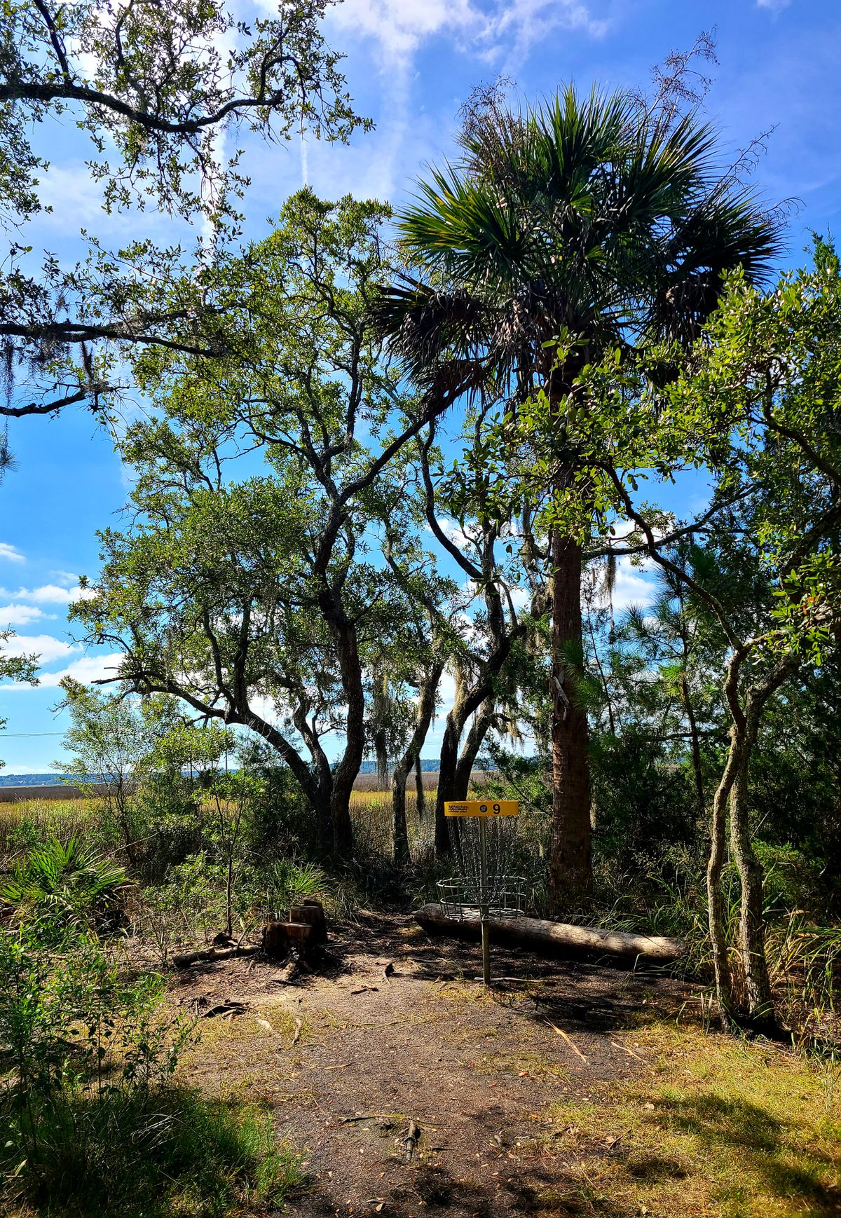 #9 by the river.