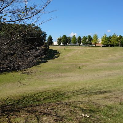 Course photo