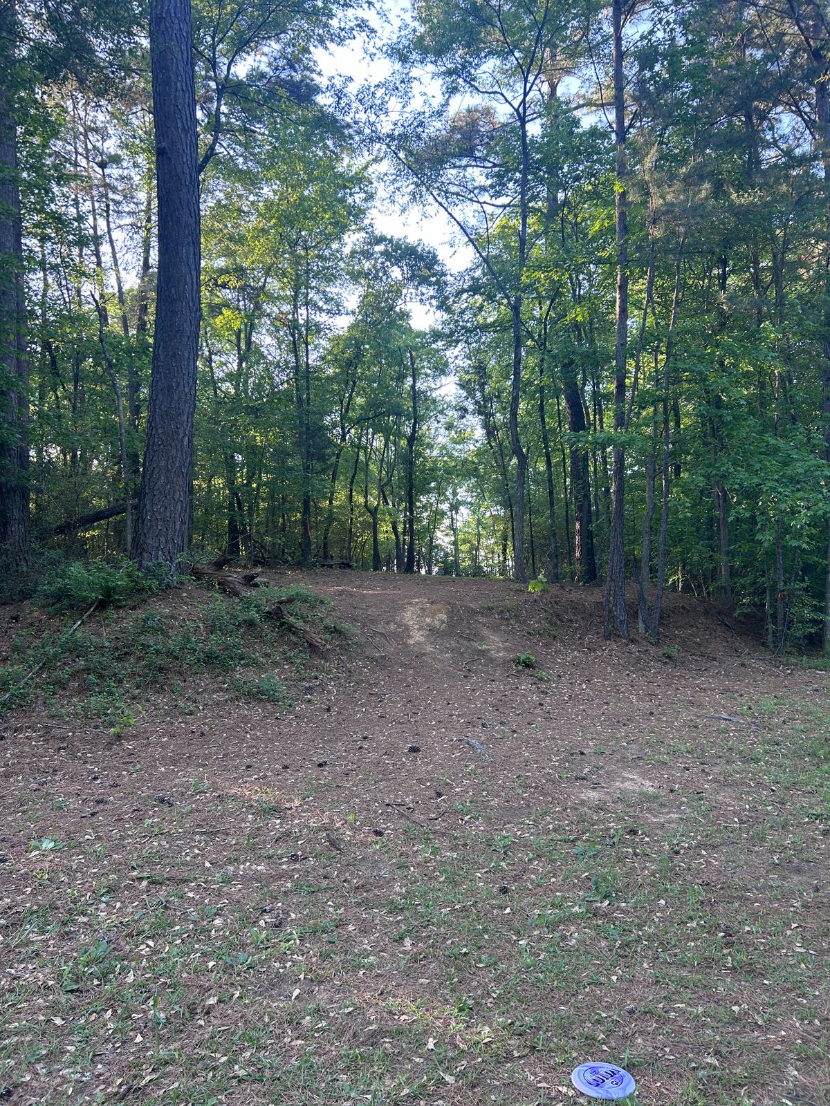 Hole 8 uphill tunnel shot to green