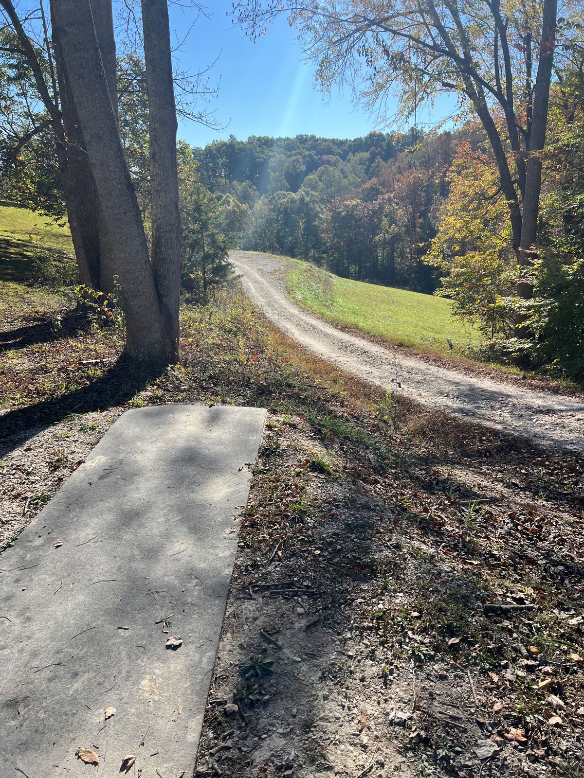 Hole 15