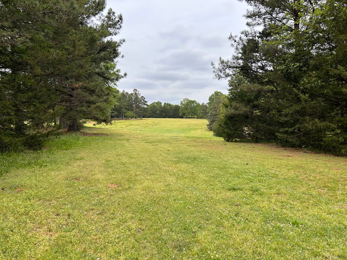 Hole 8 from the fairway