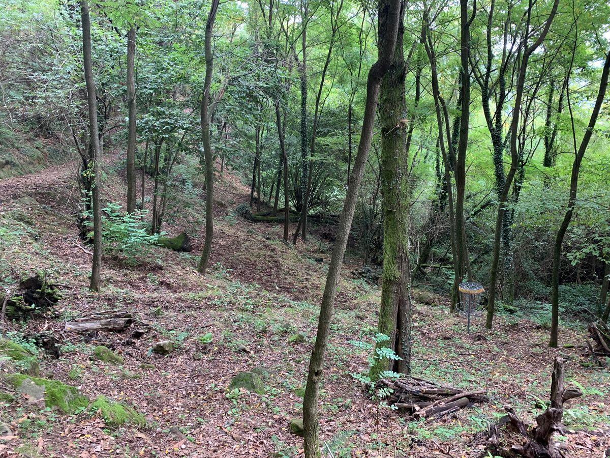Wooded section.