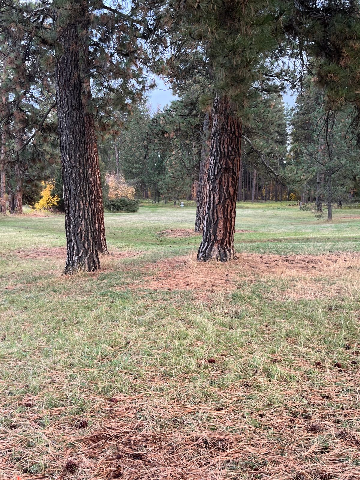 Hole 7