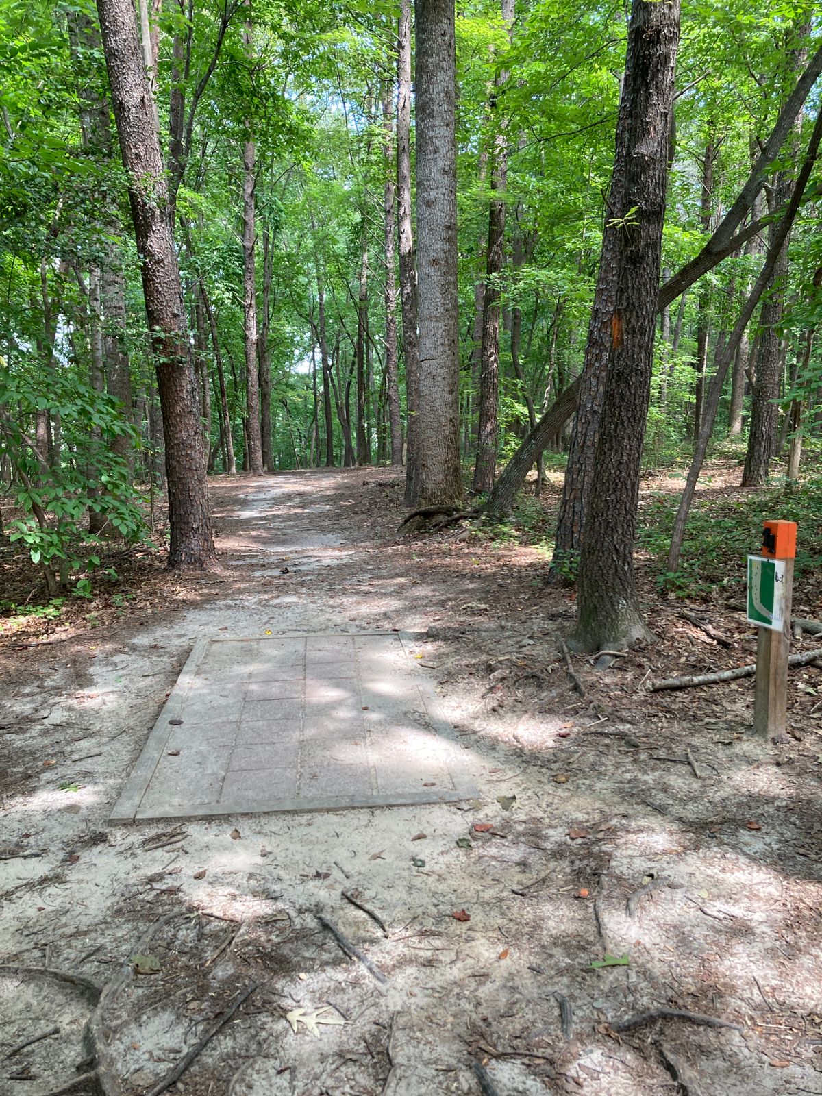 Hole 11 - pushing dogleg right - large drop off to the left