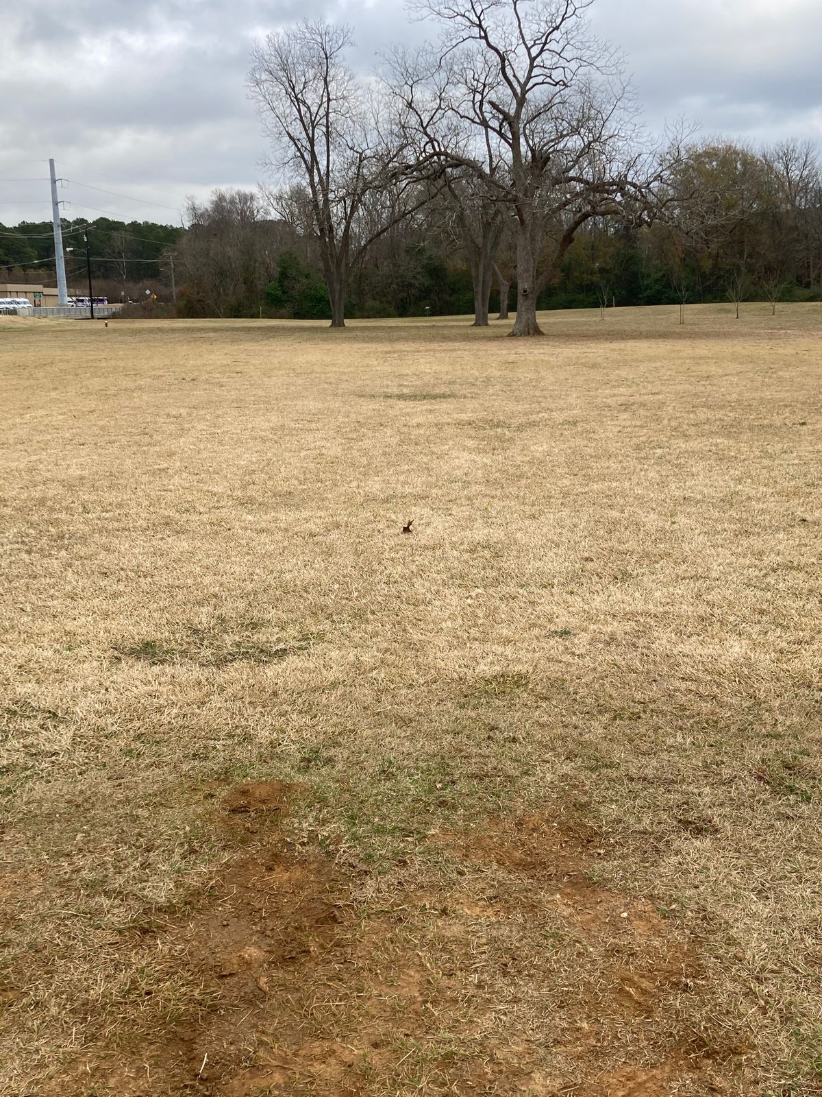 Hole 2