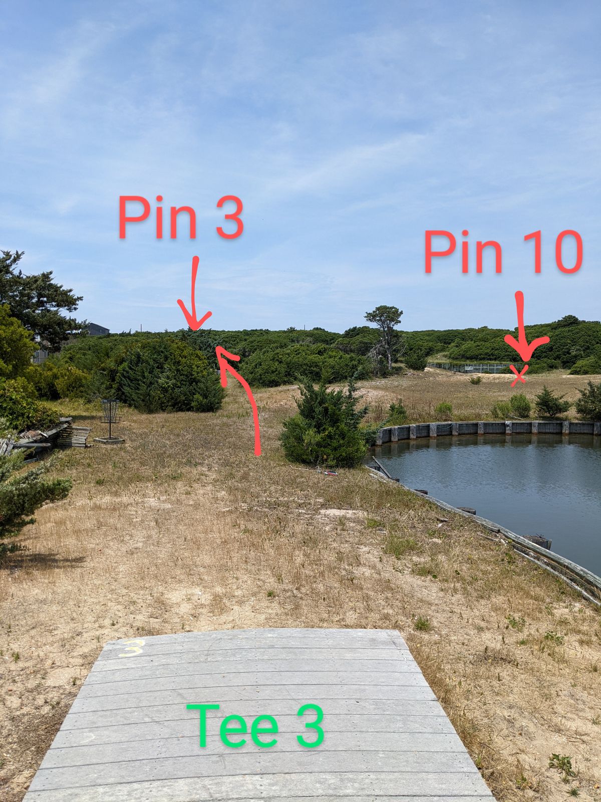 It's easy to accidentally throw at basket 10. The basket is elevated to the left. The bushes are very thick. Consider laying up.