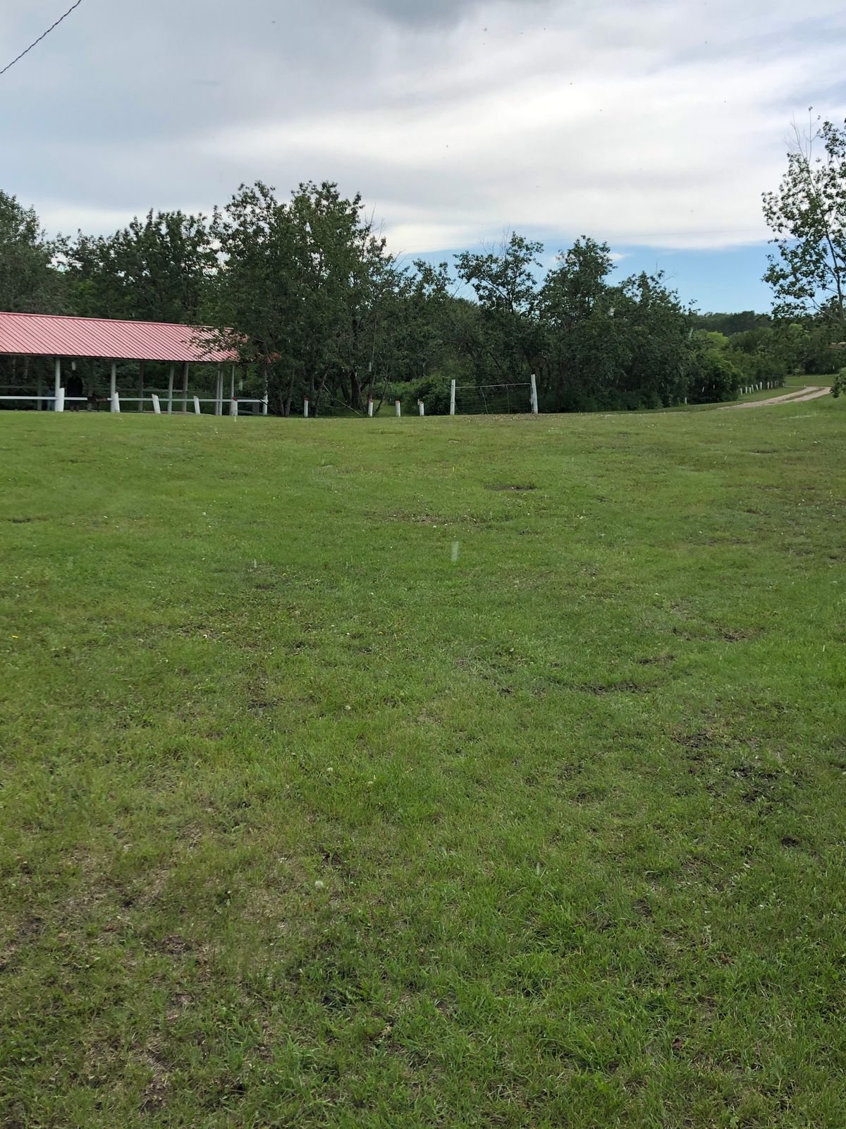 Hole 4 tee off by corner of hall by washrooms. Basket to right of picnic shelter in trees over gate