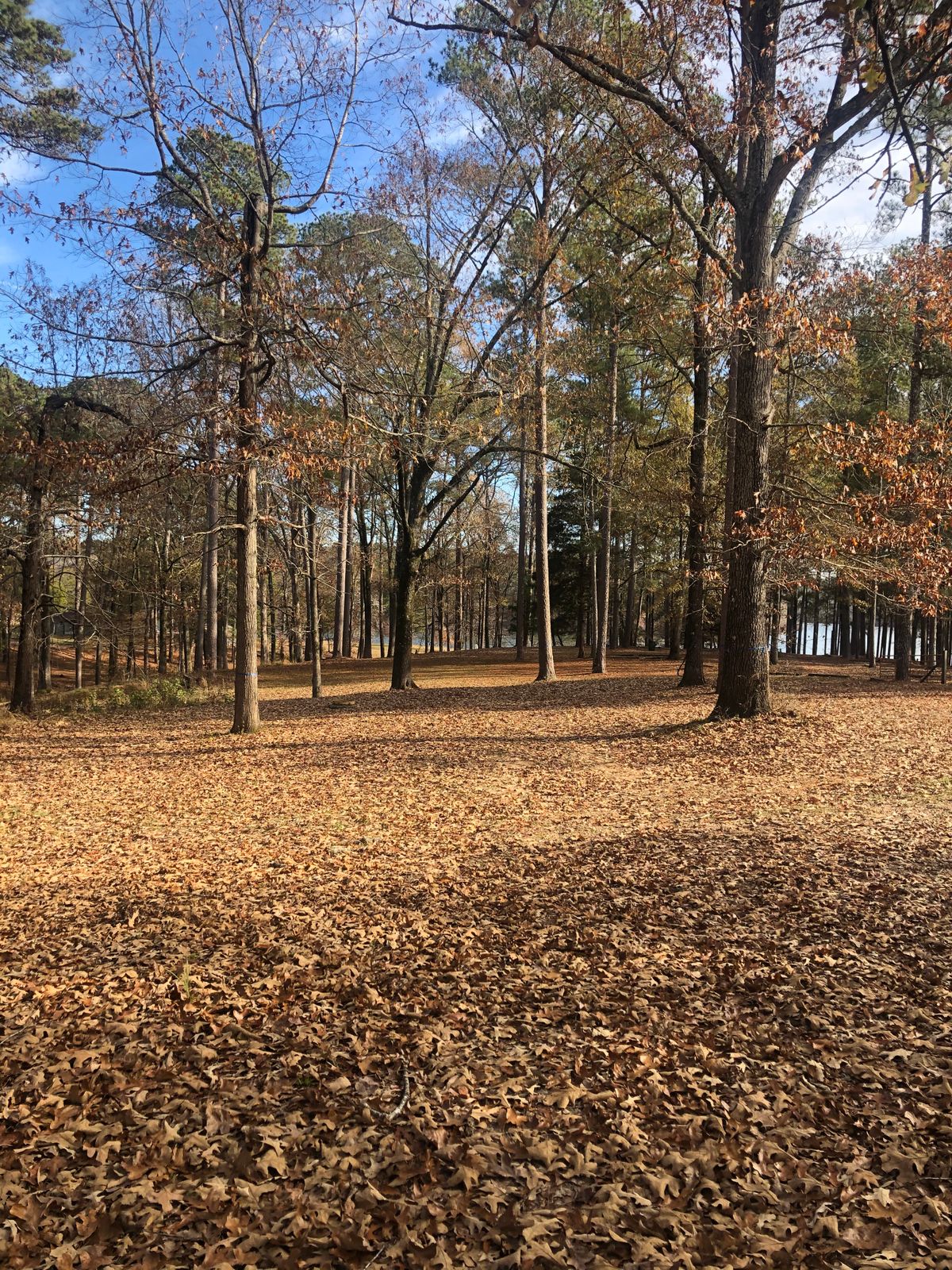 Hole 14