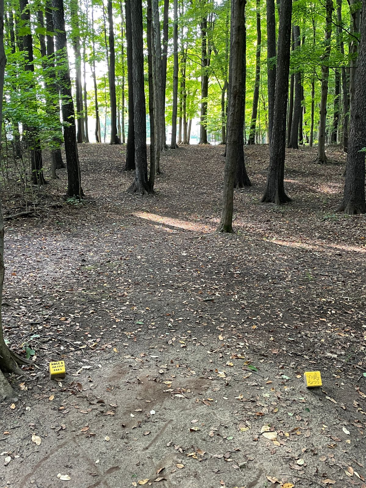 Hole 8