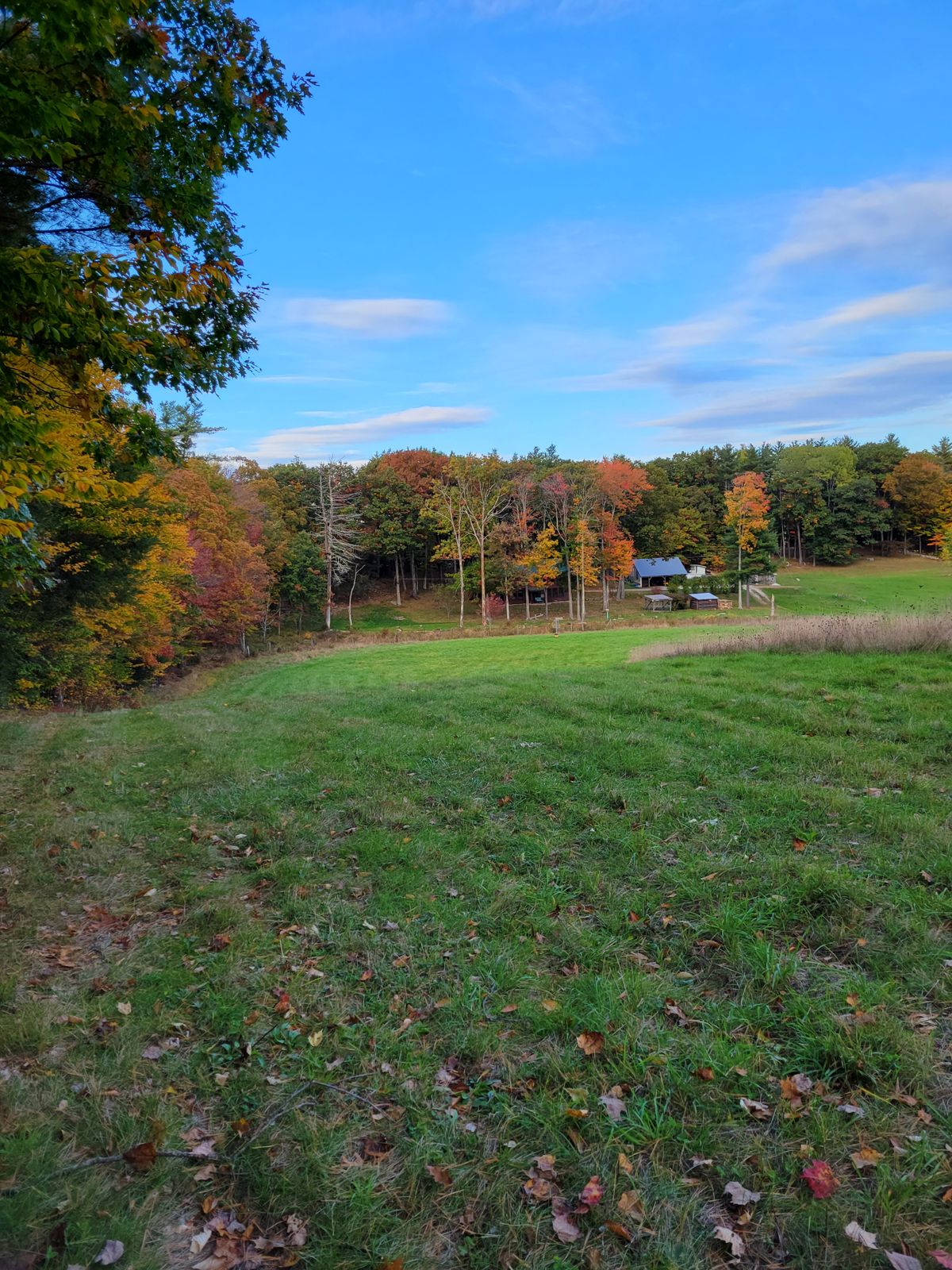 Hole 18 from the tee.