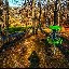 justinmyers0211