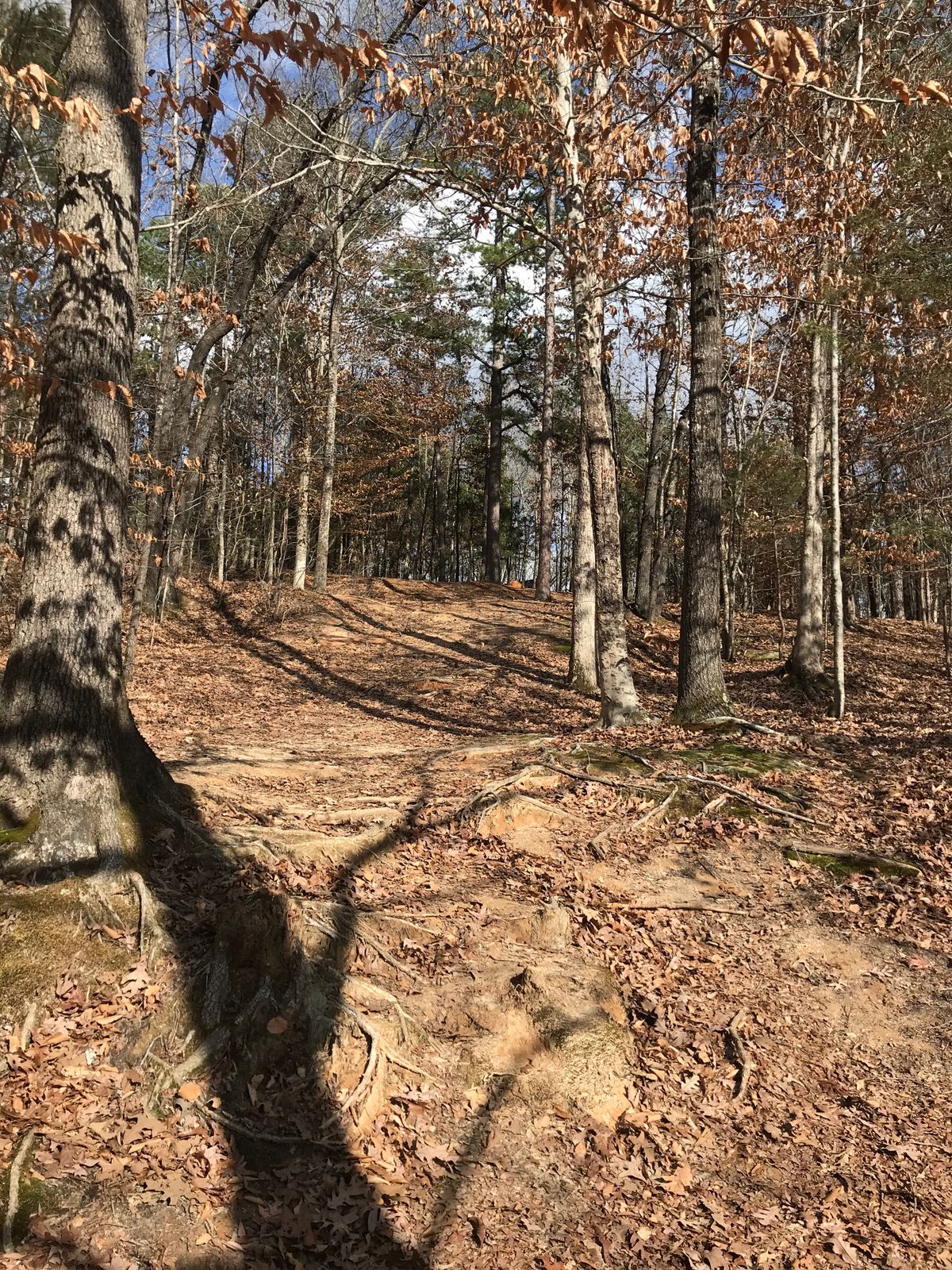 Hole 17: Uphill