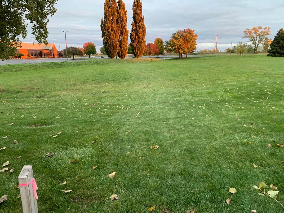 Hole 16 in the evening glow.