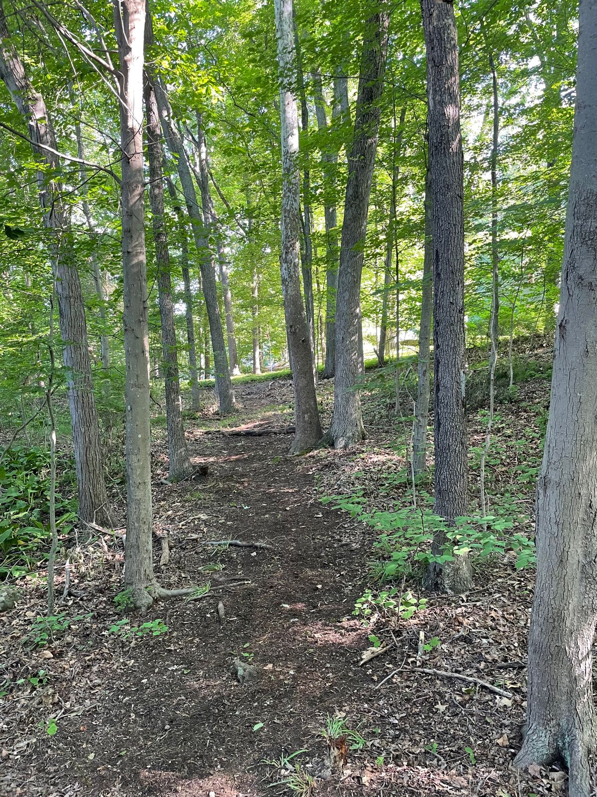 Hole 14