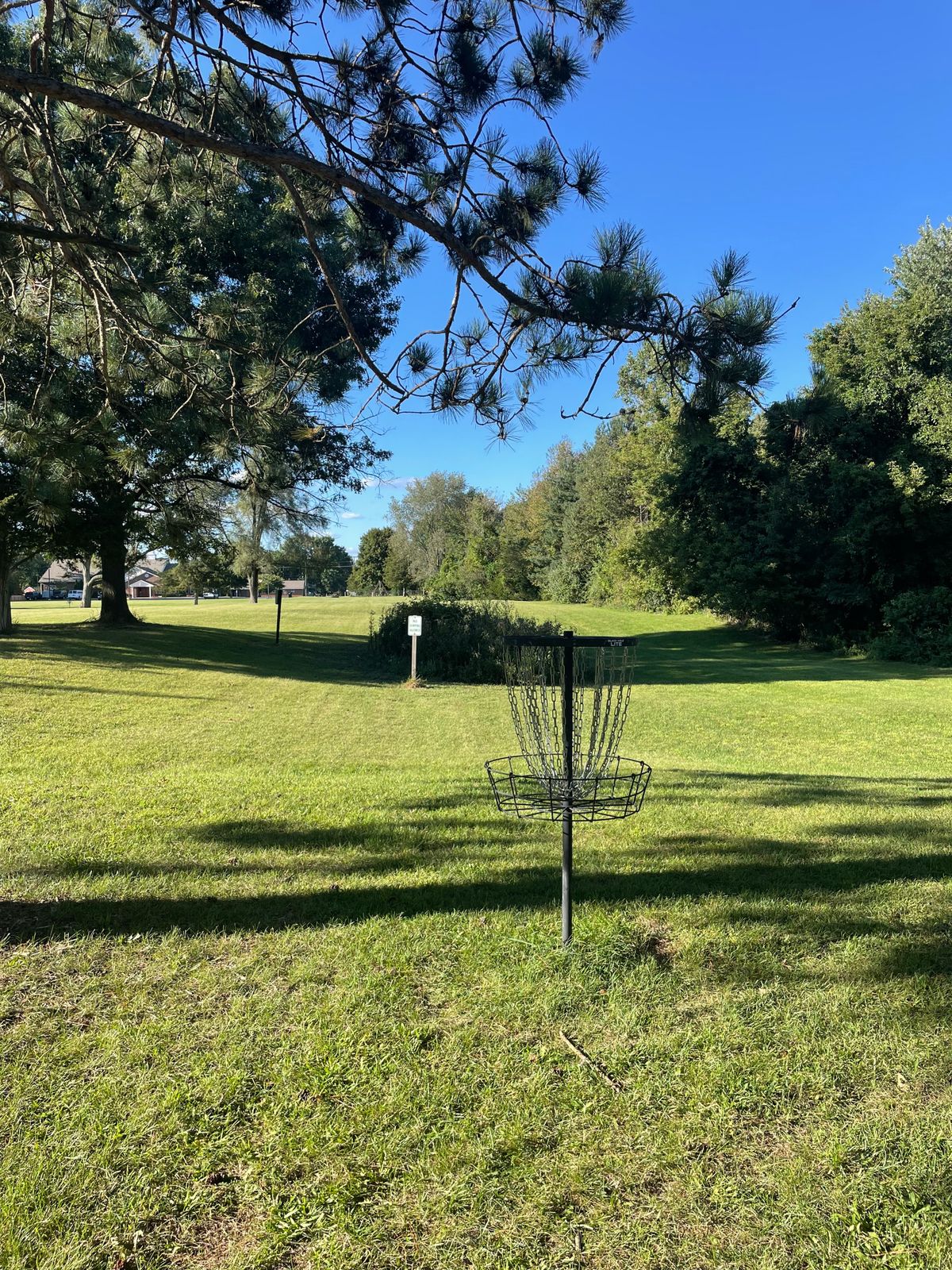 Hole 4 basket