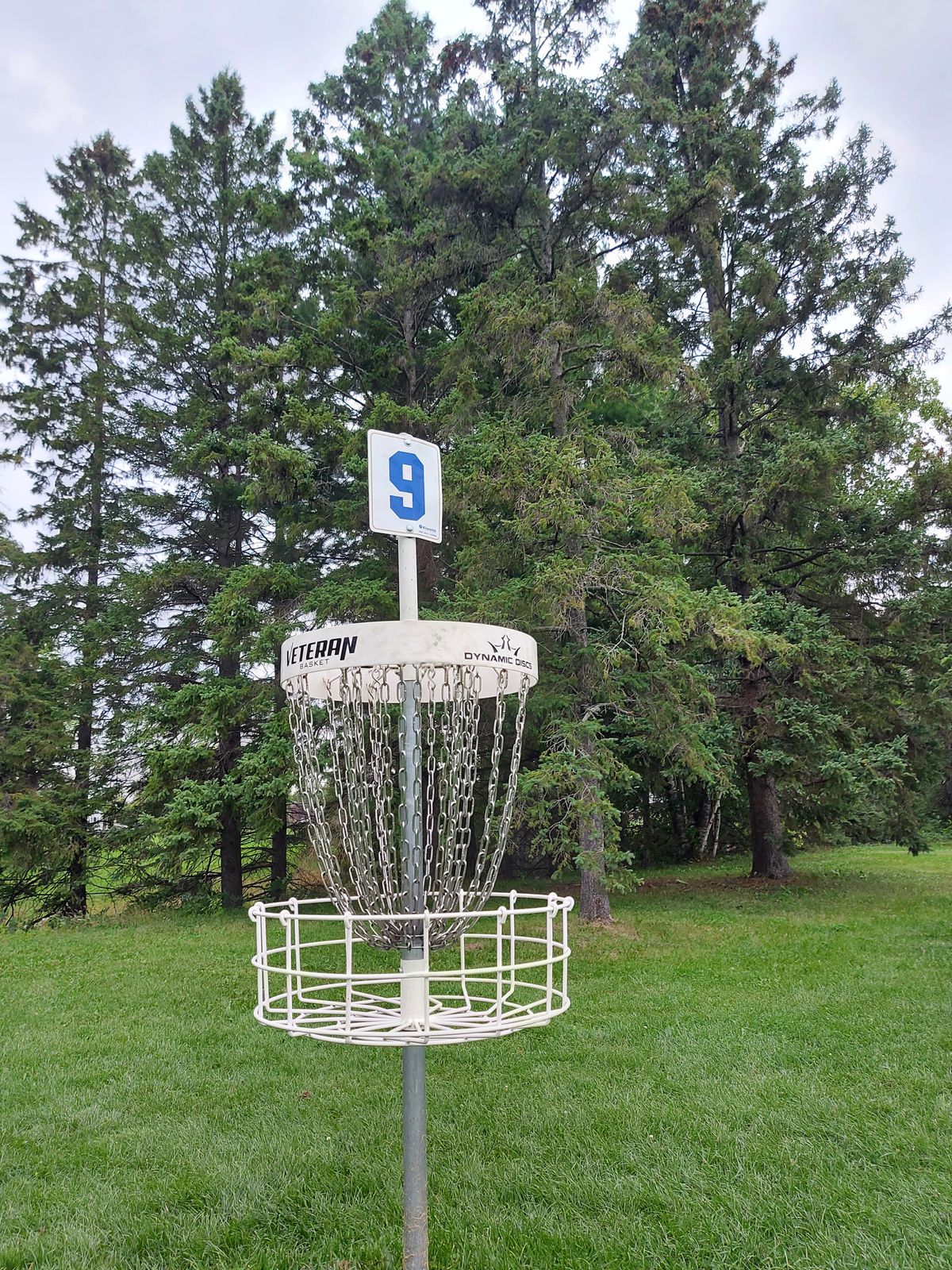 Putting on hole 9.🌲🌲🌲🌲