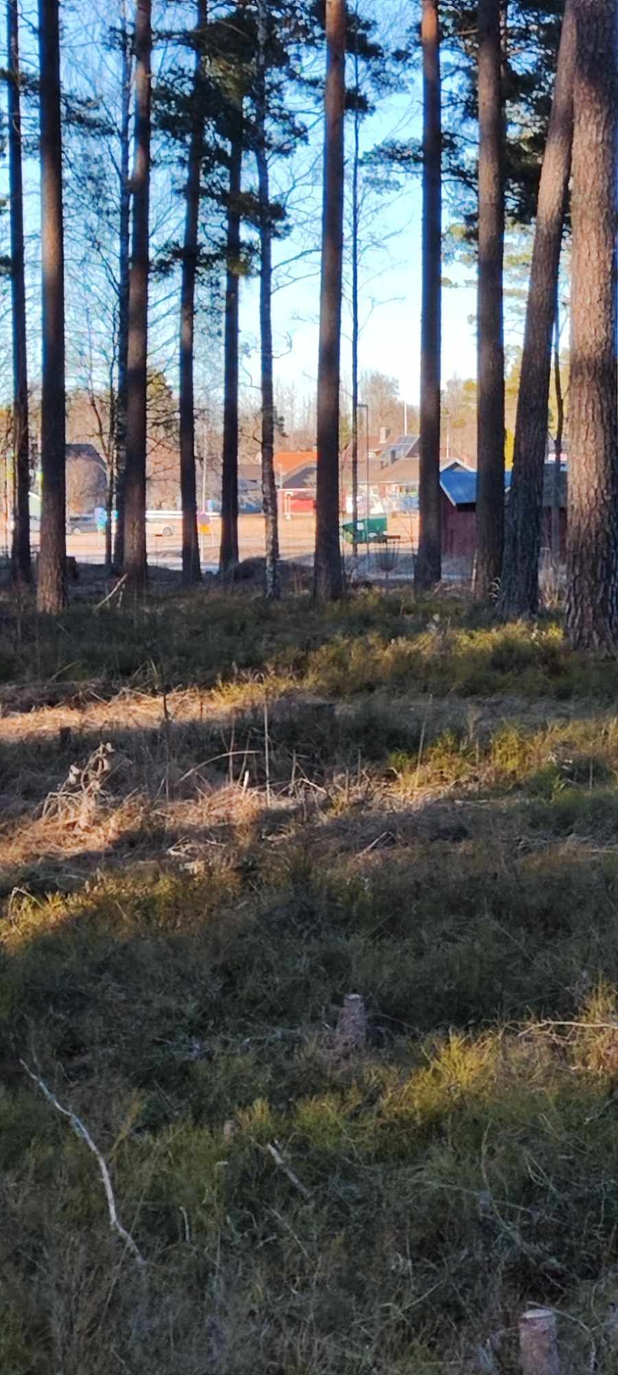Hål 18, sista korgen