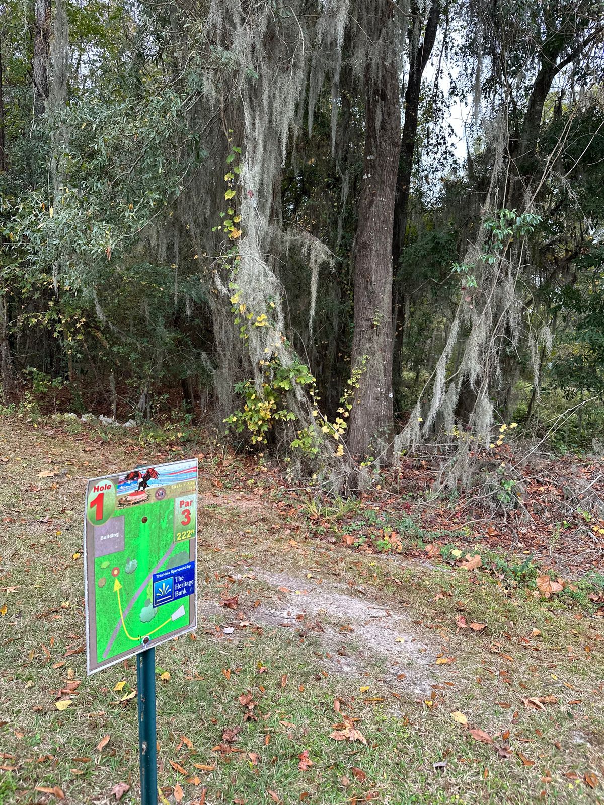 Hole 1 T pad