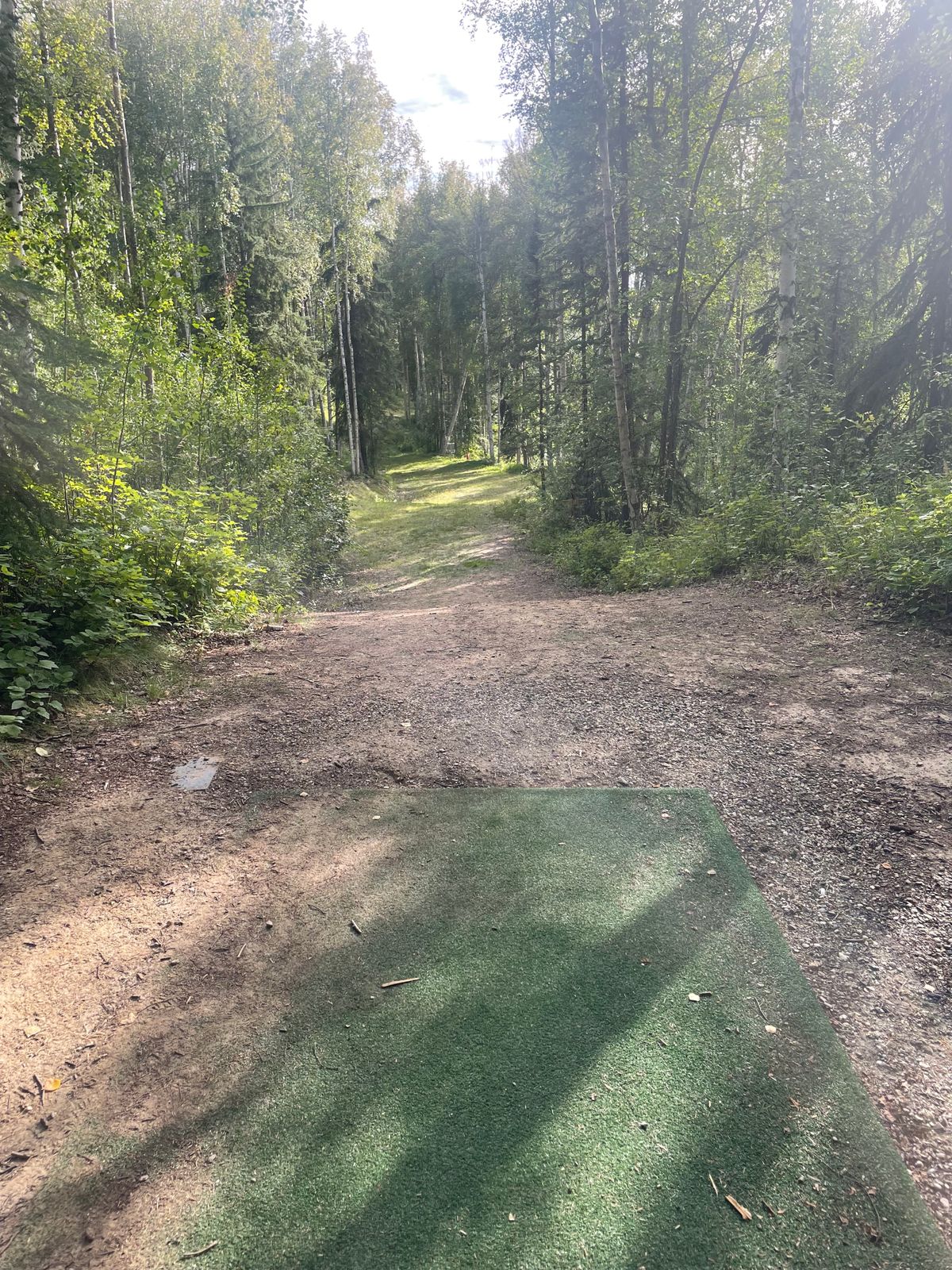 Hole 1 tee pad, basket on the right side of the trail