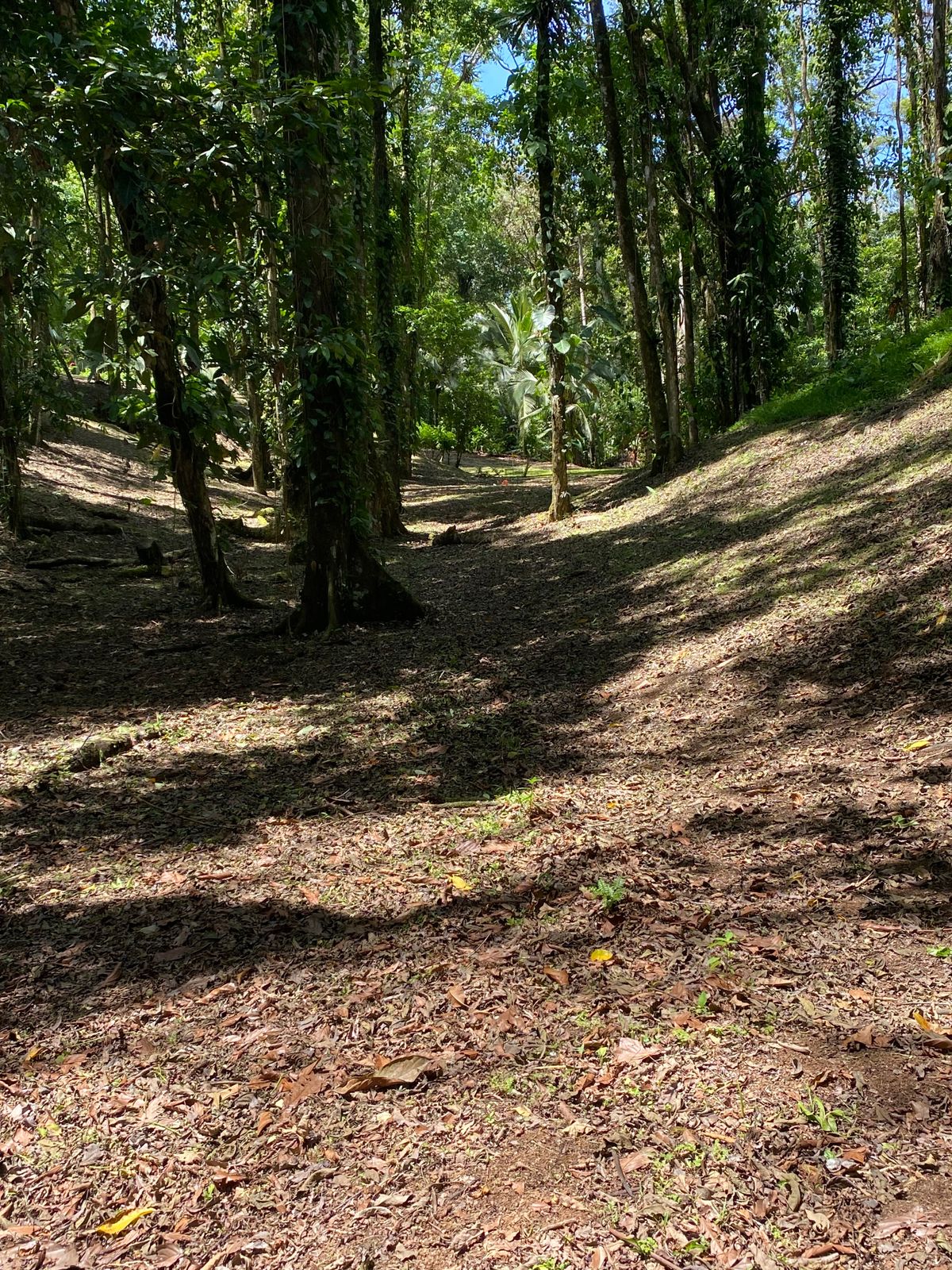 Down the valley on 16