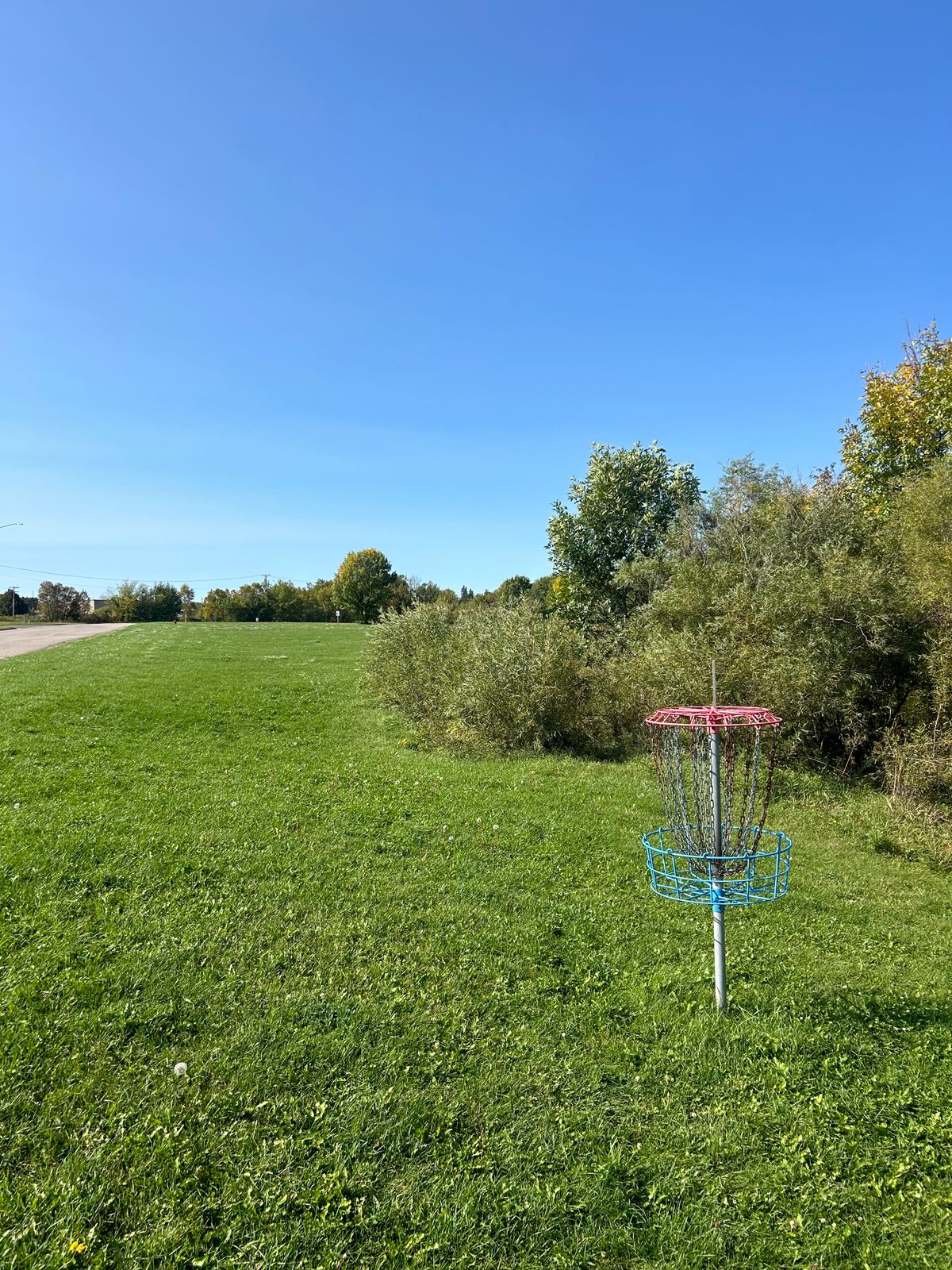Hole 16 basket, got a thrown in for 2!