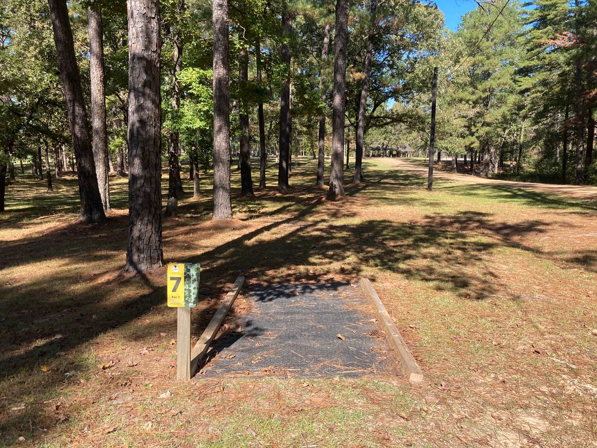 Hole 7 Tee