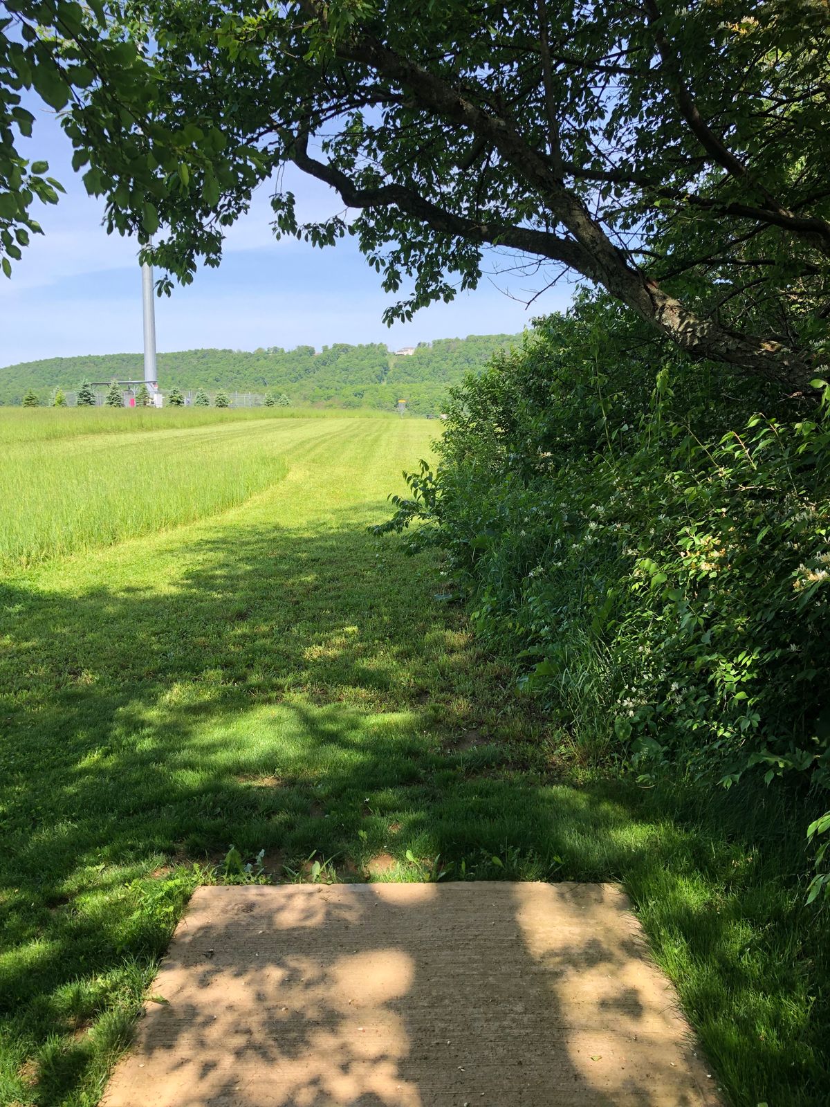 Hole 17 tee
