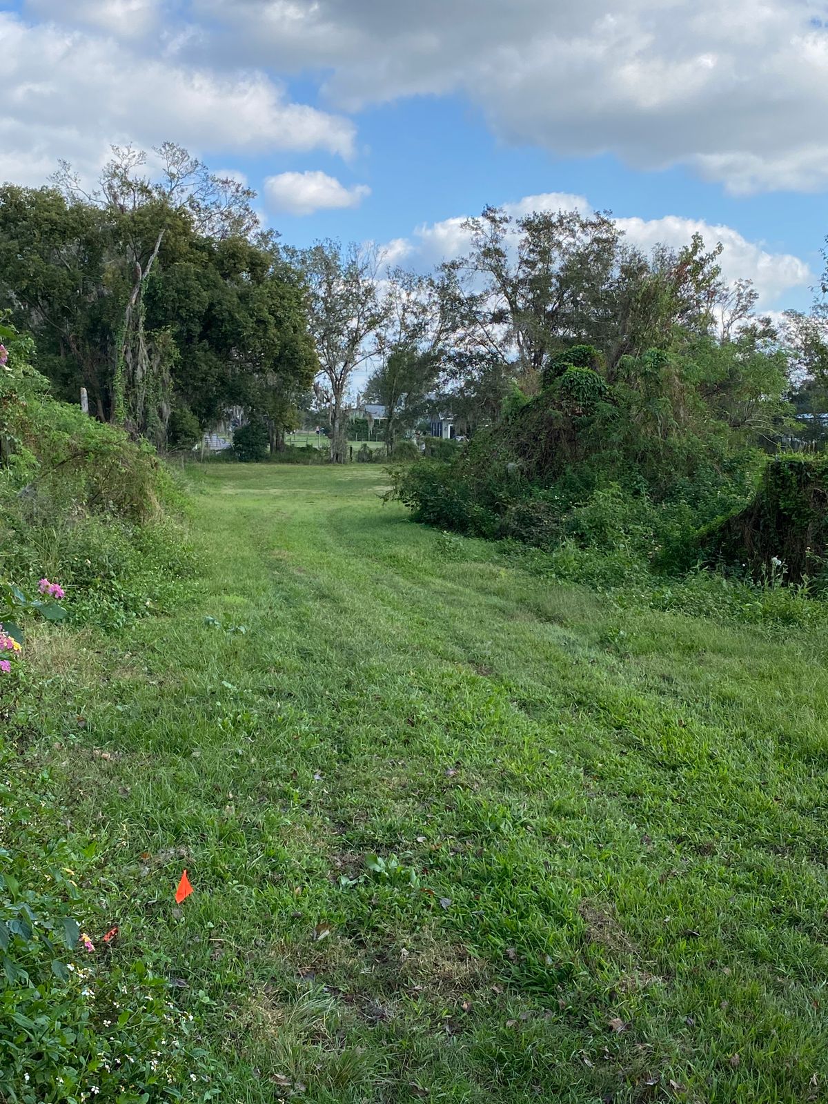 Hole 8 looking toward basket.