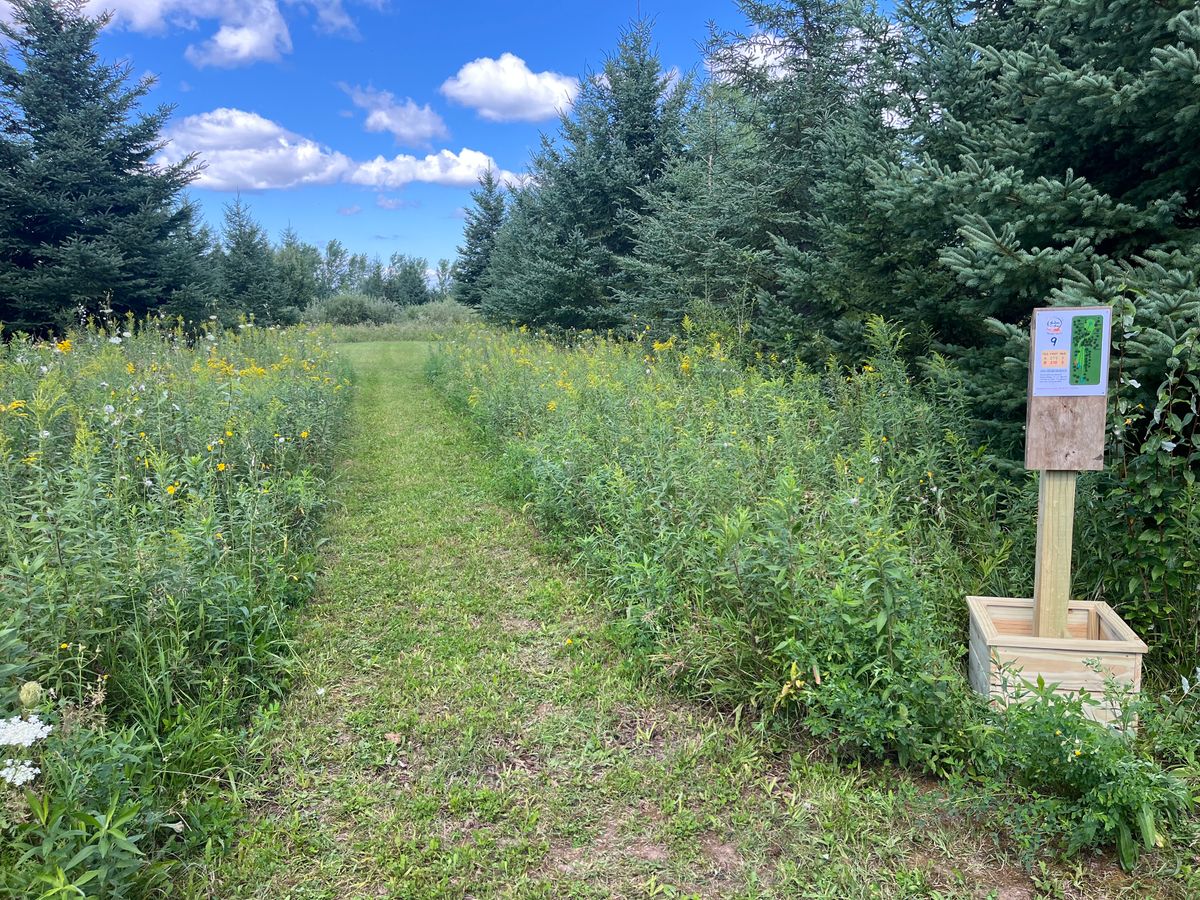Hole 9 tee