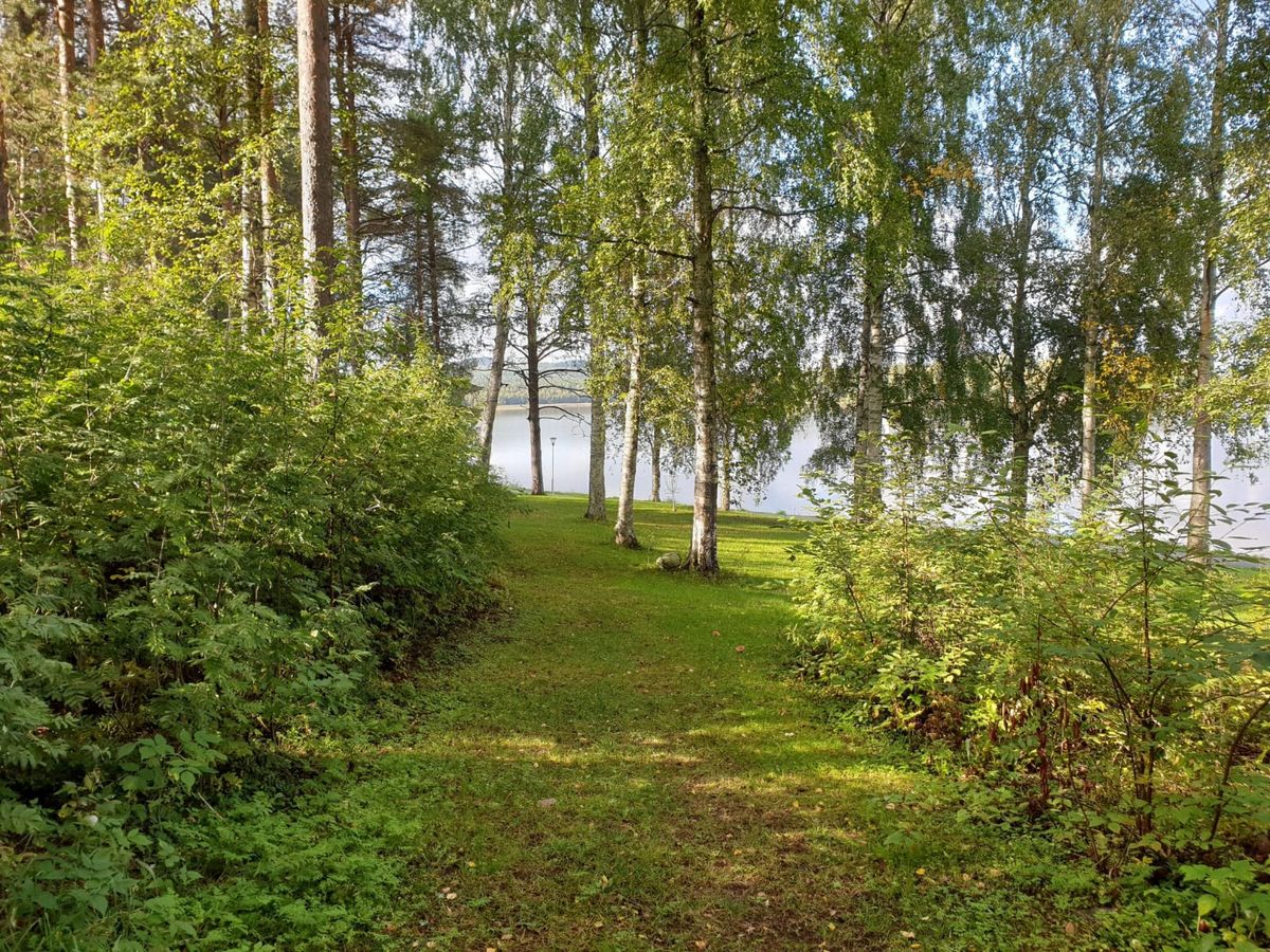 Ner mot korgen i hål 8