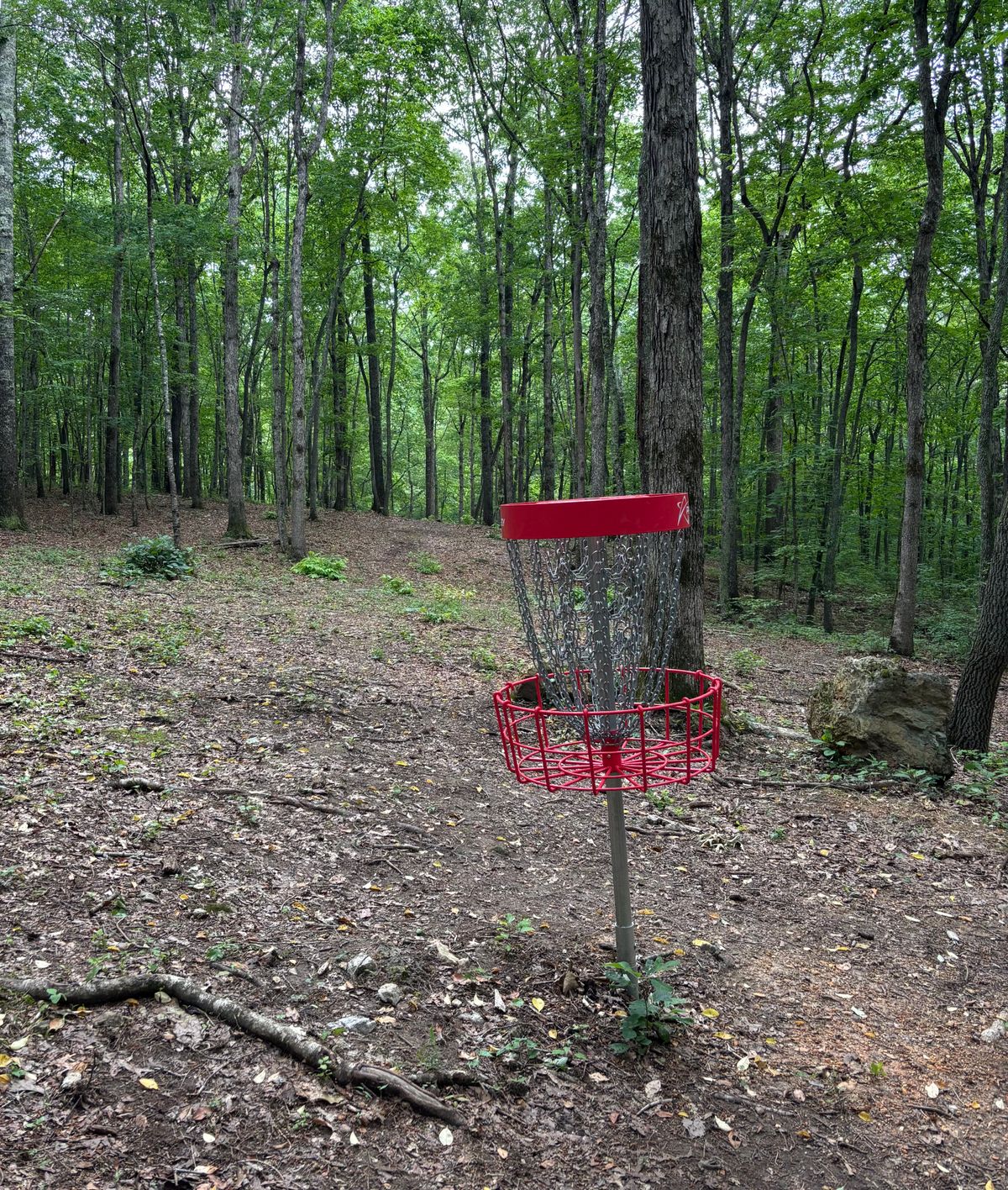 Hole #7 Basket to Tee